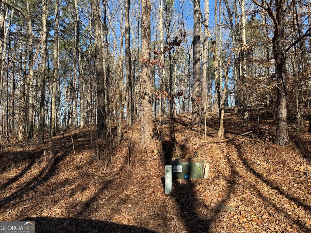 Photo of 102 Brook Hollow Lake Trail, Cumming, GA 30028 (MLS # 10673073)