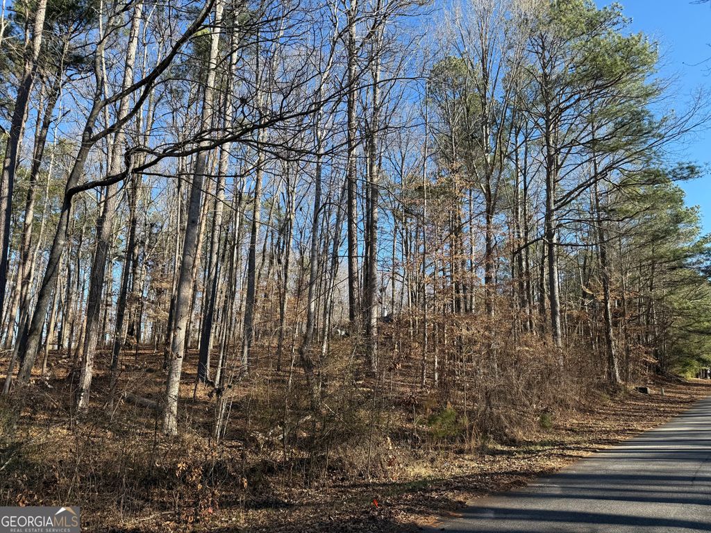Photo of 102 Brook Hollow Lake Trail, Cumming, GA 30028 (MLS # 10673073)