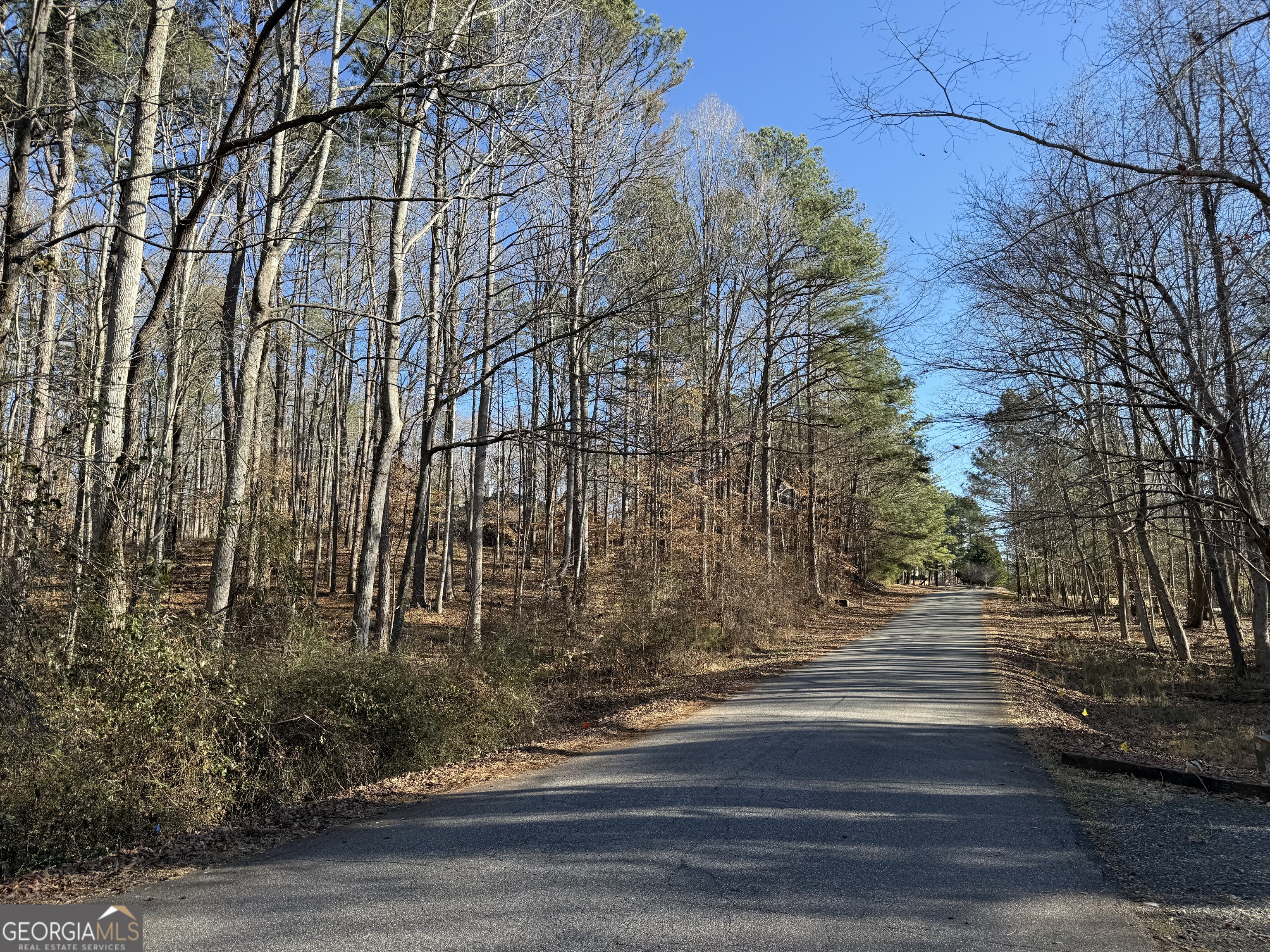 102 Brook Hollow Lake TRL