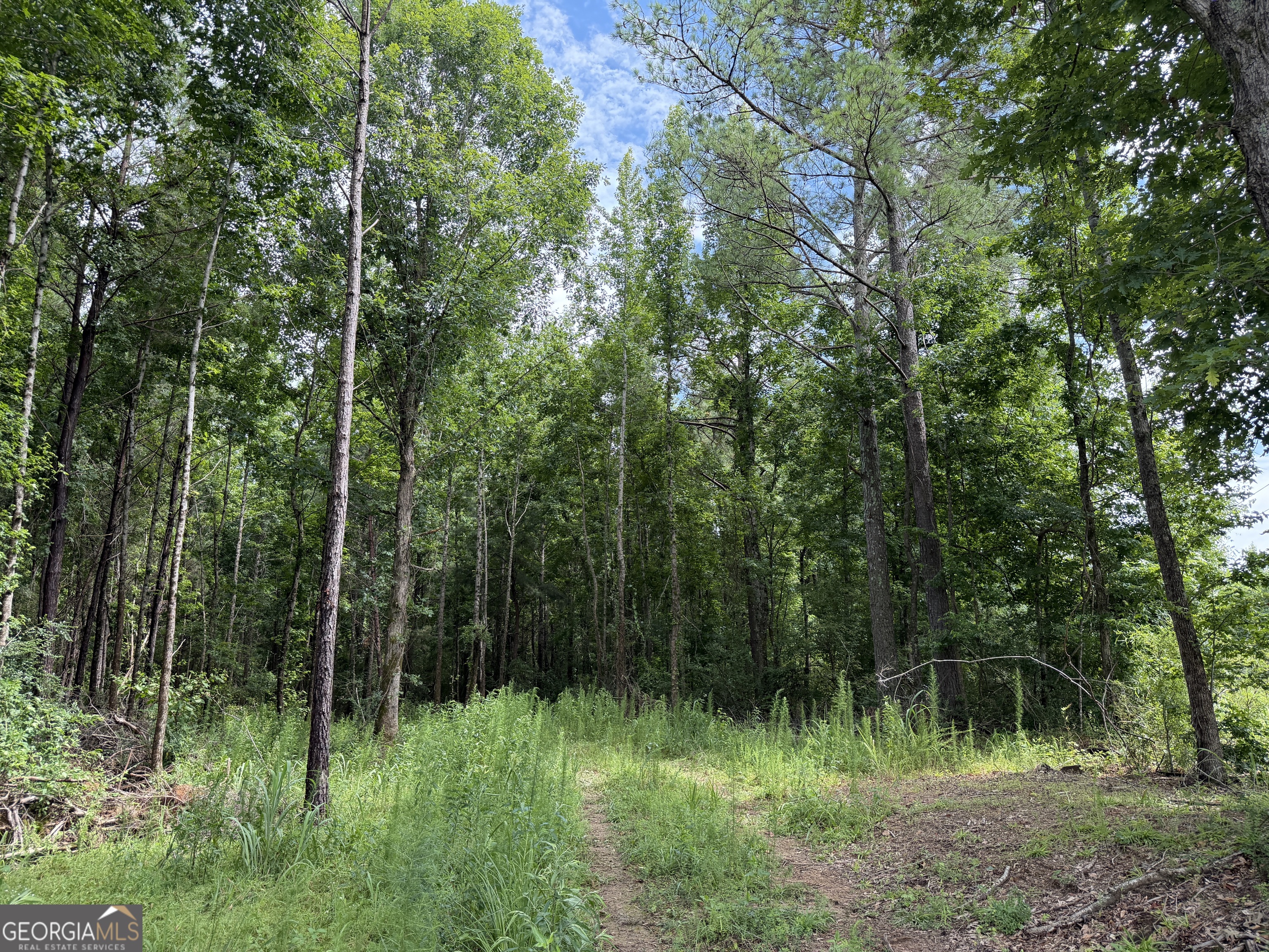 Photo 1 of 11 — 004 County Rd 445, Haleyville, AL 35565