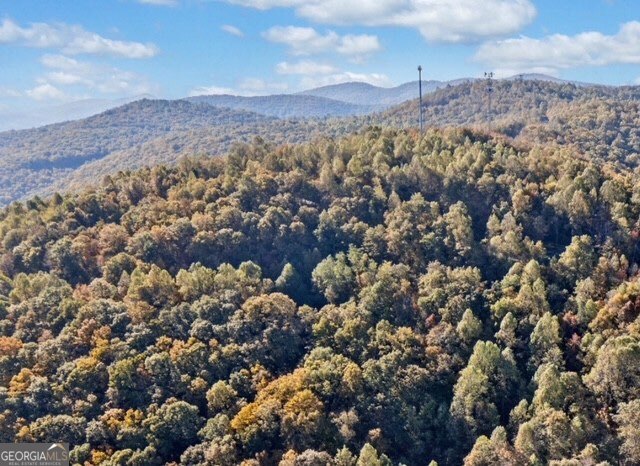 LOT 03 Upper Sassafras PKWY