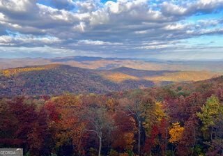 LOT 03 Upper Sassafras PKWY