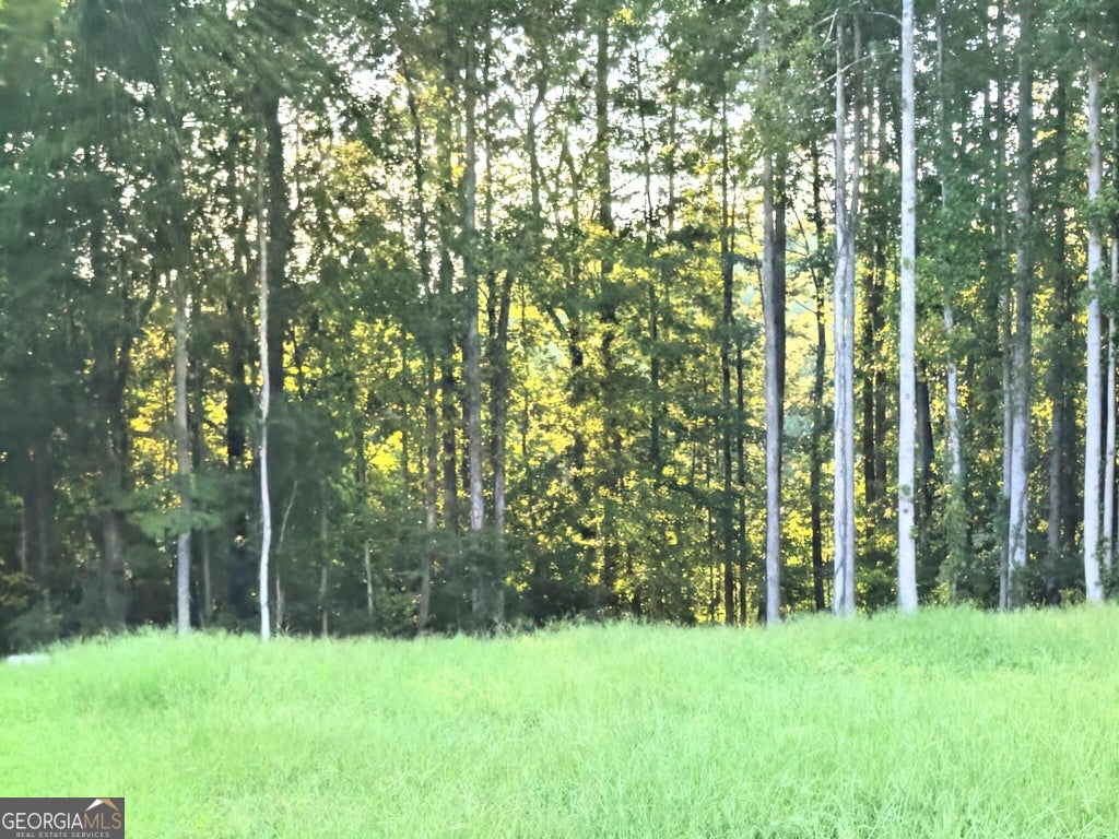 Photo of 322 N Hicks Rd, Toccoa, GA 30577 (MLS # 10840626)