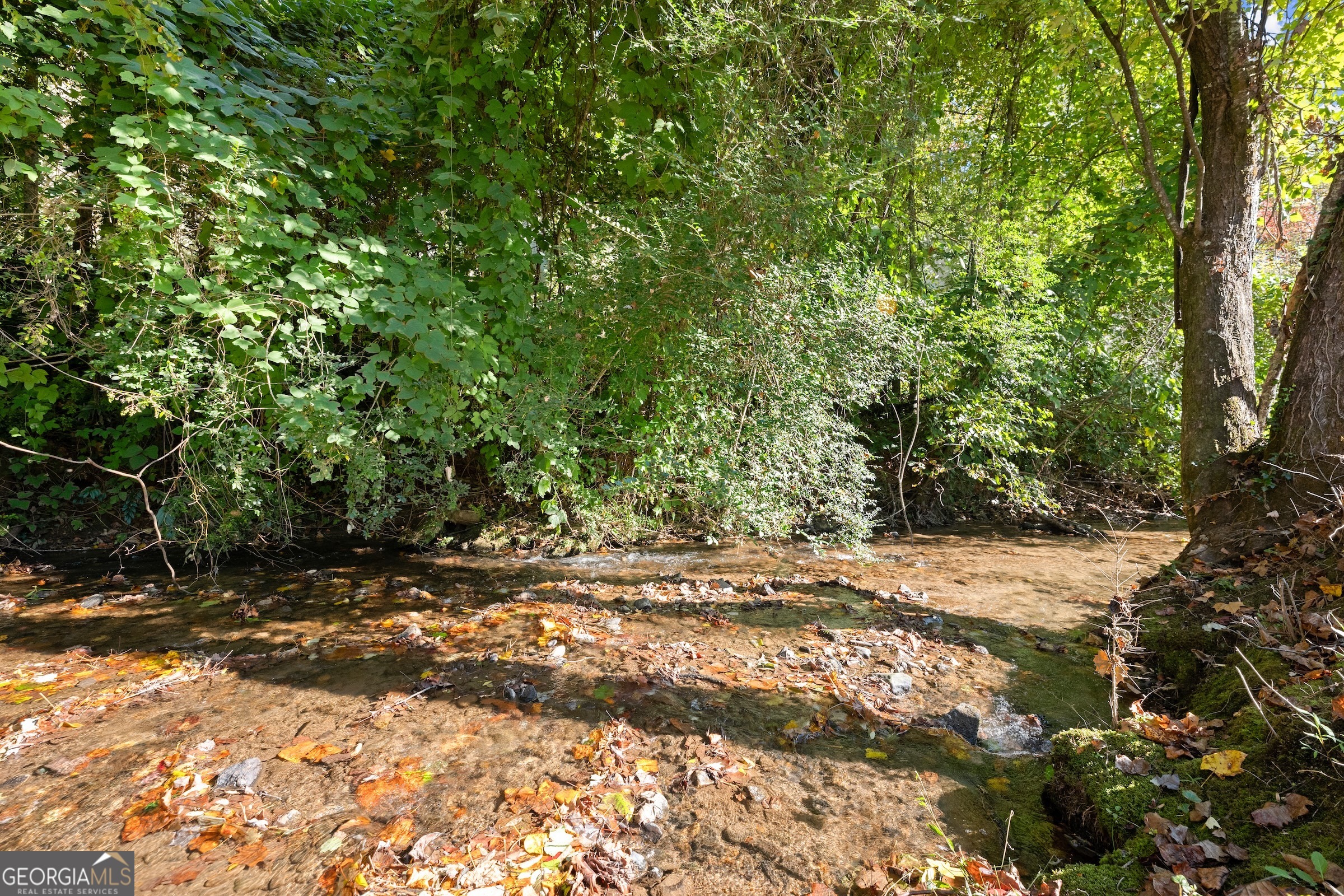 22 Living Waters WAY 2C