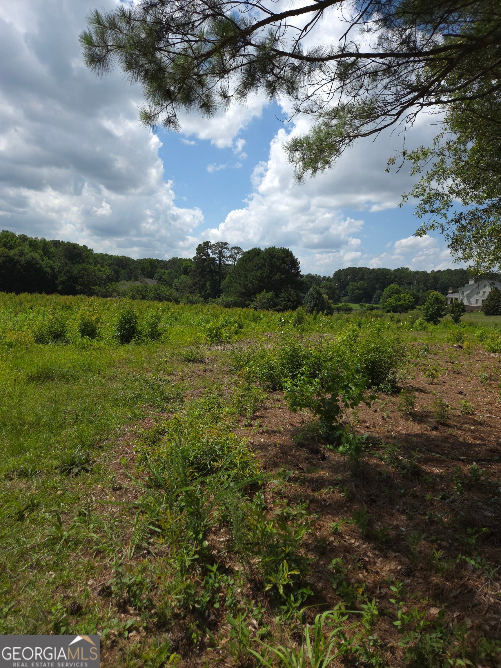 0 Trickum Creek RD