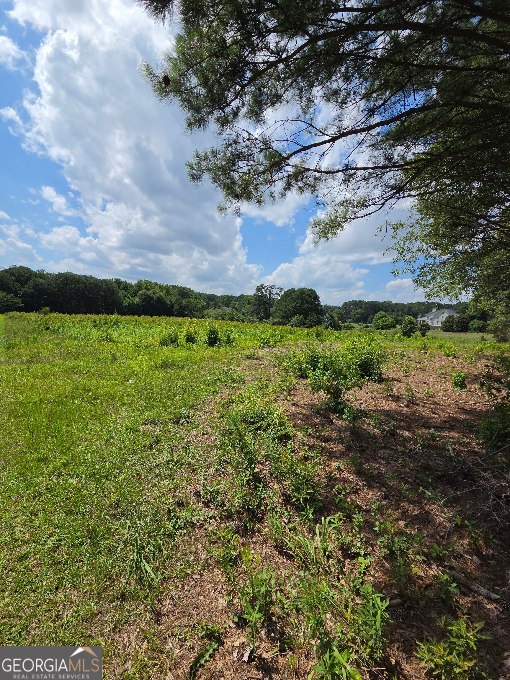 0 Trickum Creek RD