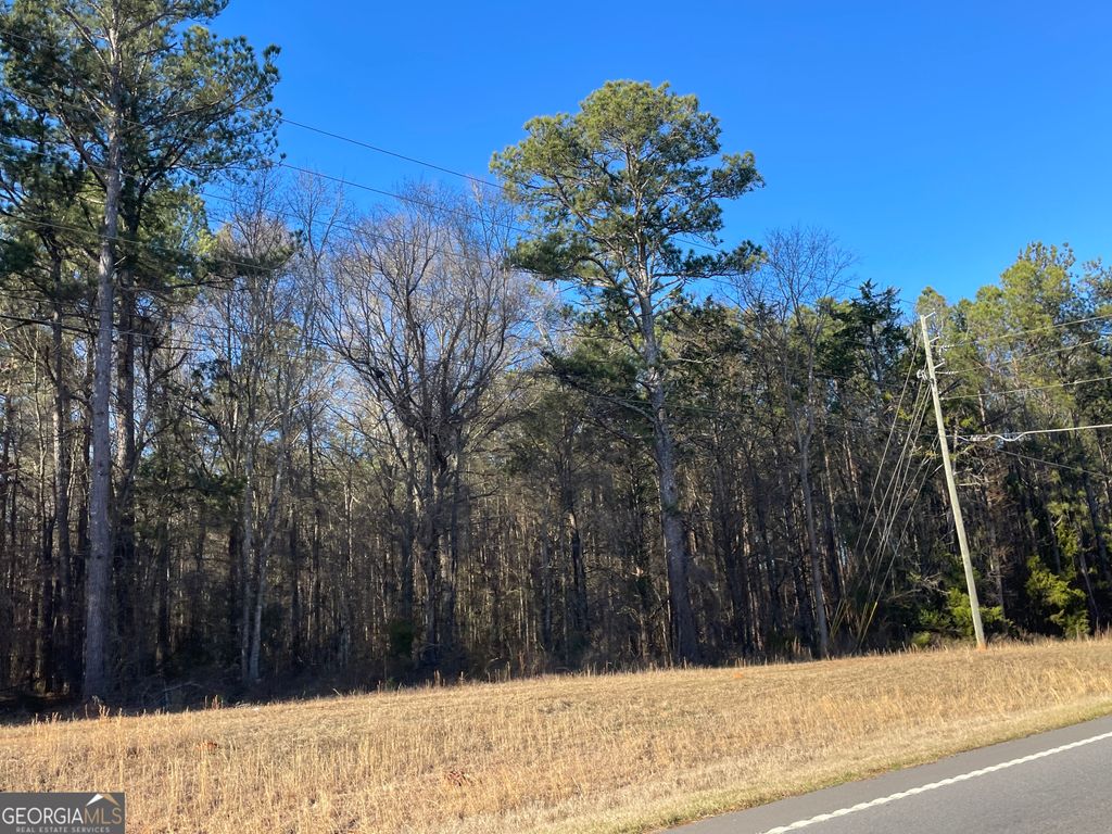 Photo of 0 S Highway 81, Covington, GA 30016 (MLS # 10672633)