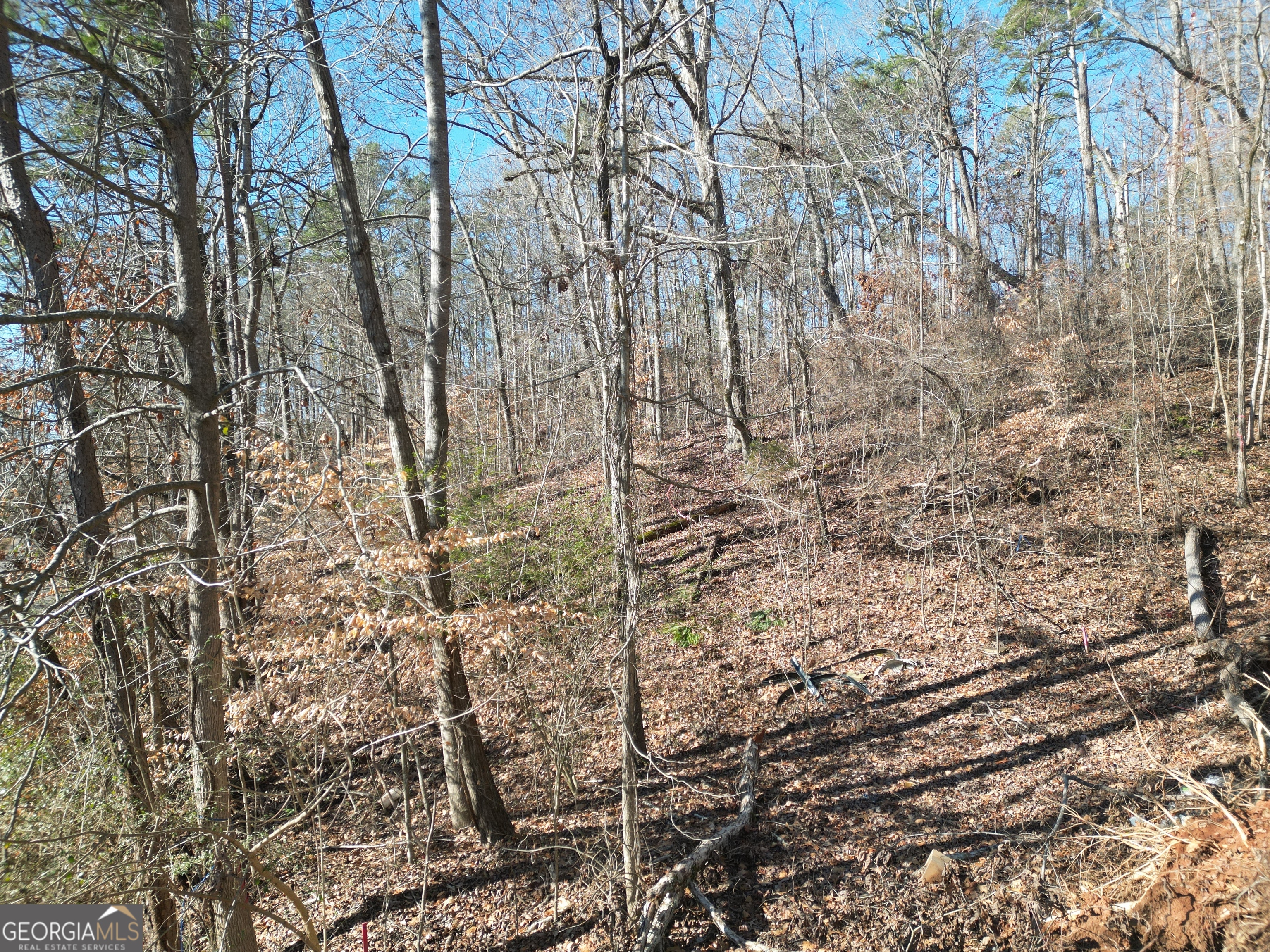 1469 Lakeside TRL