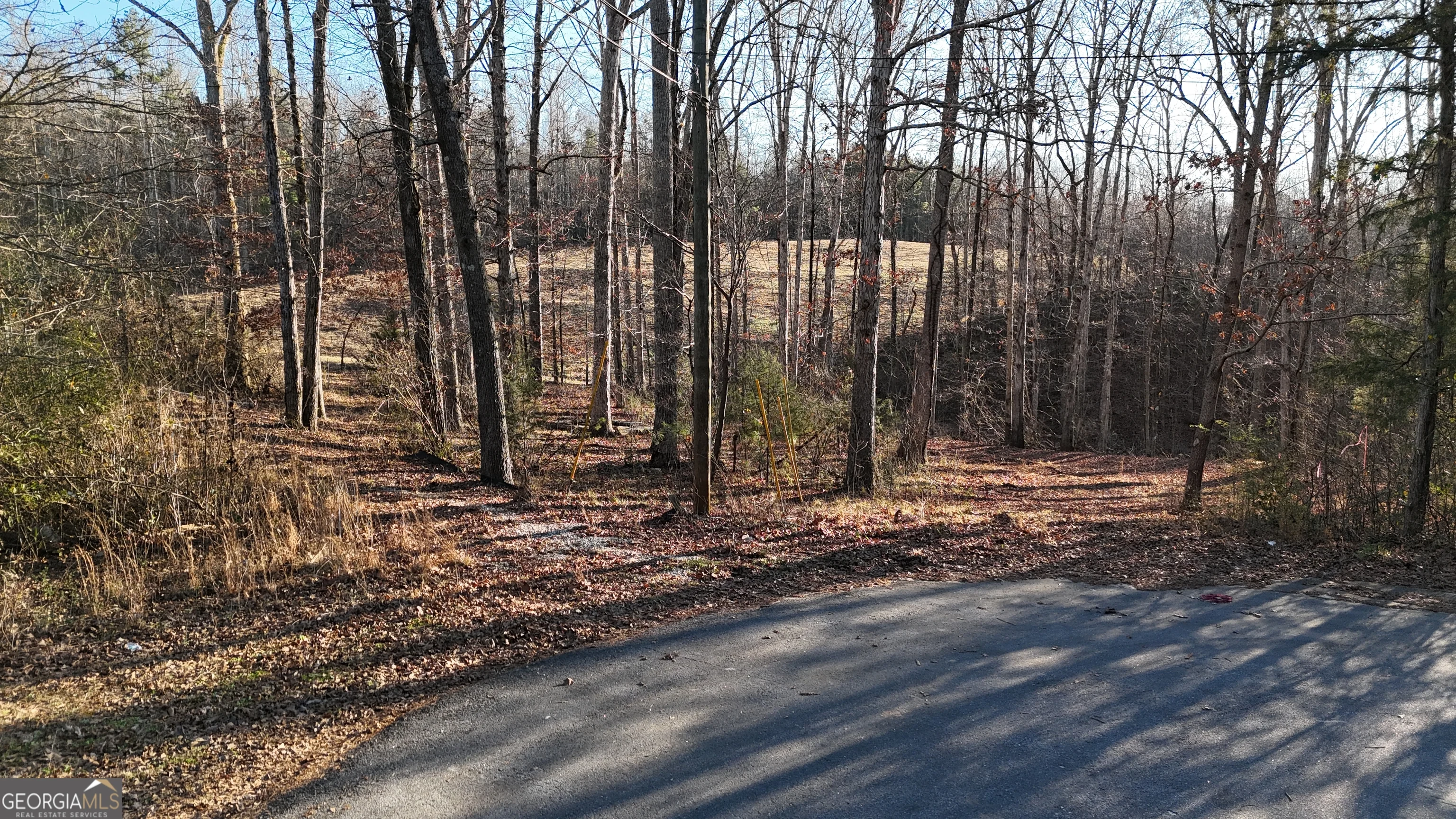 151 Sandy Springs Drive