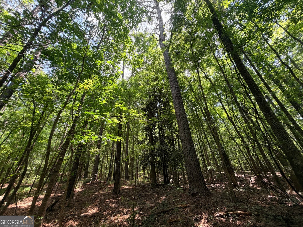 Photo of 1150 Dogwood Road N, woodville, GA 30669 (MLS # 10799935)