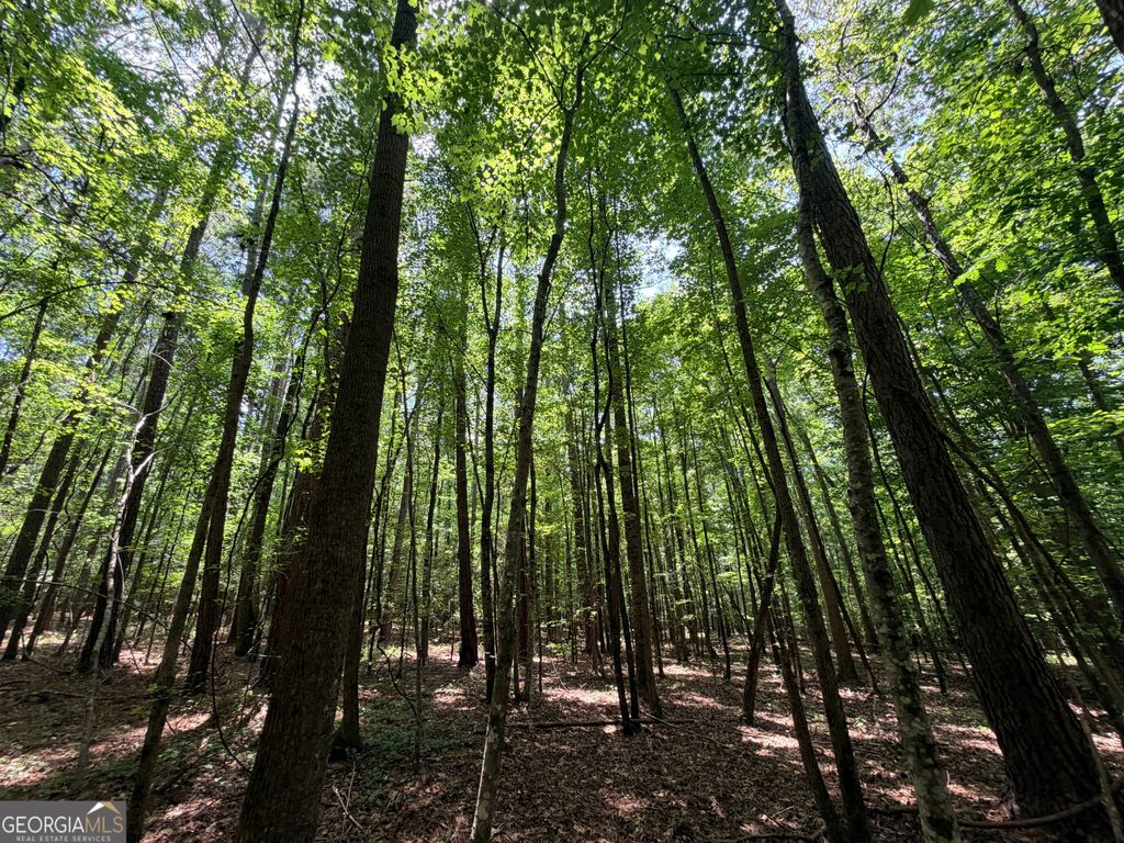 Photo of 1150 Dogwood Road N, woodville, GA 30669 (MLS # 10799935)