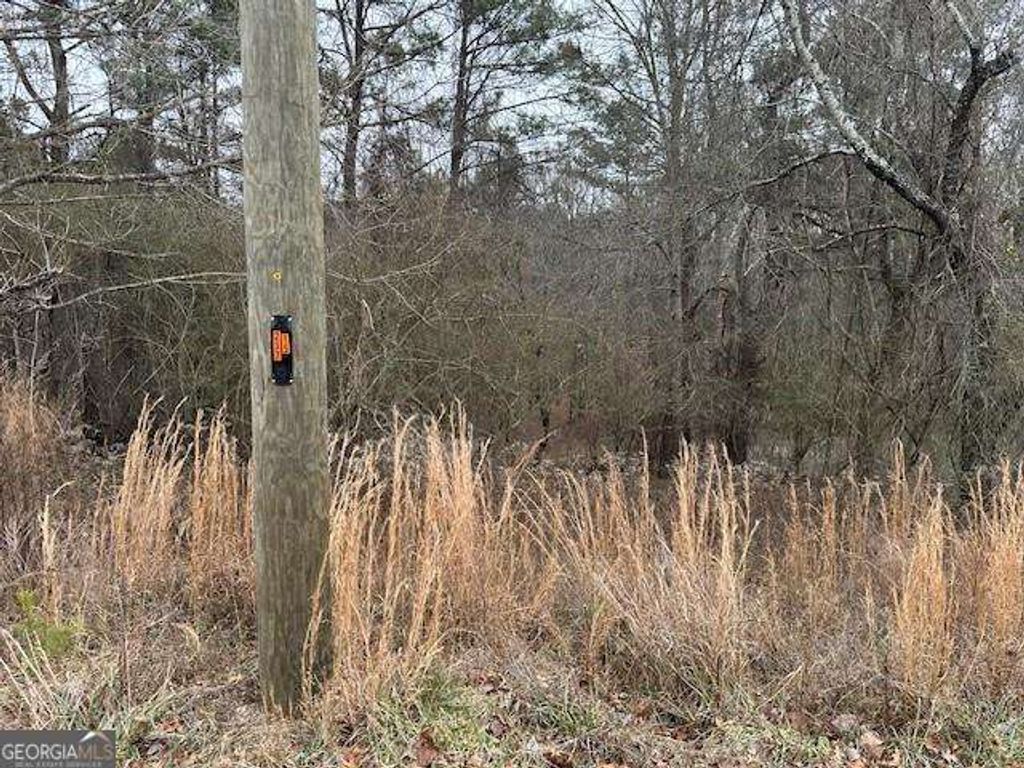 Photo of 0 Jones Road, Ball Ground, GA 30107 (MLS # 10691103)