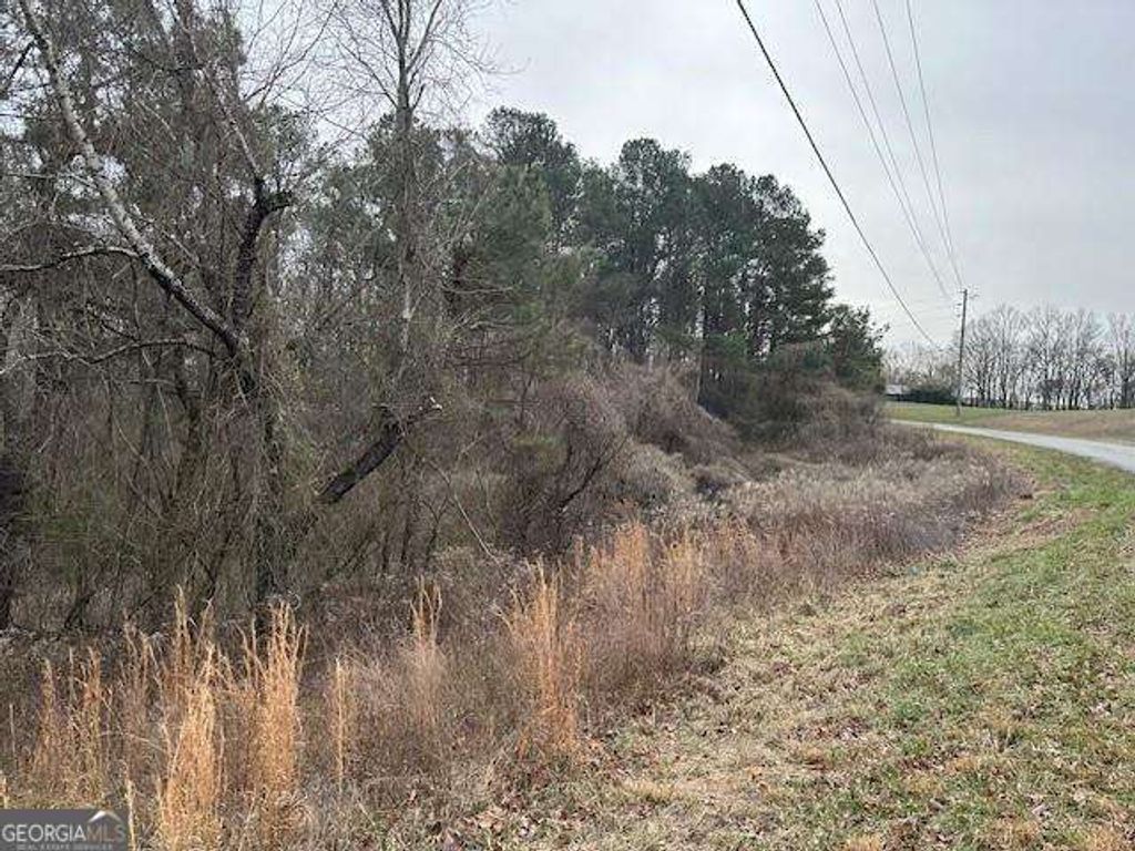 Photo of 0 Jones Road, Ball Ground, GA 30107 (MLS # 10691103)