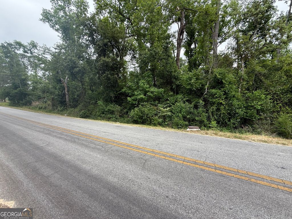 Photo of N/A Highway 56, Swainsboro, GA 30401 (MLS # 10736570)