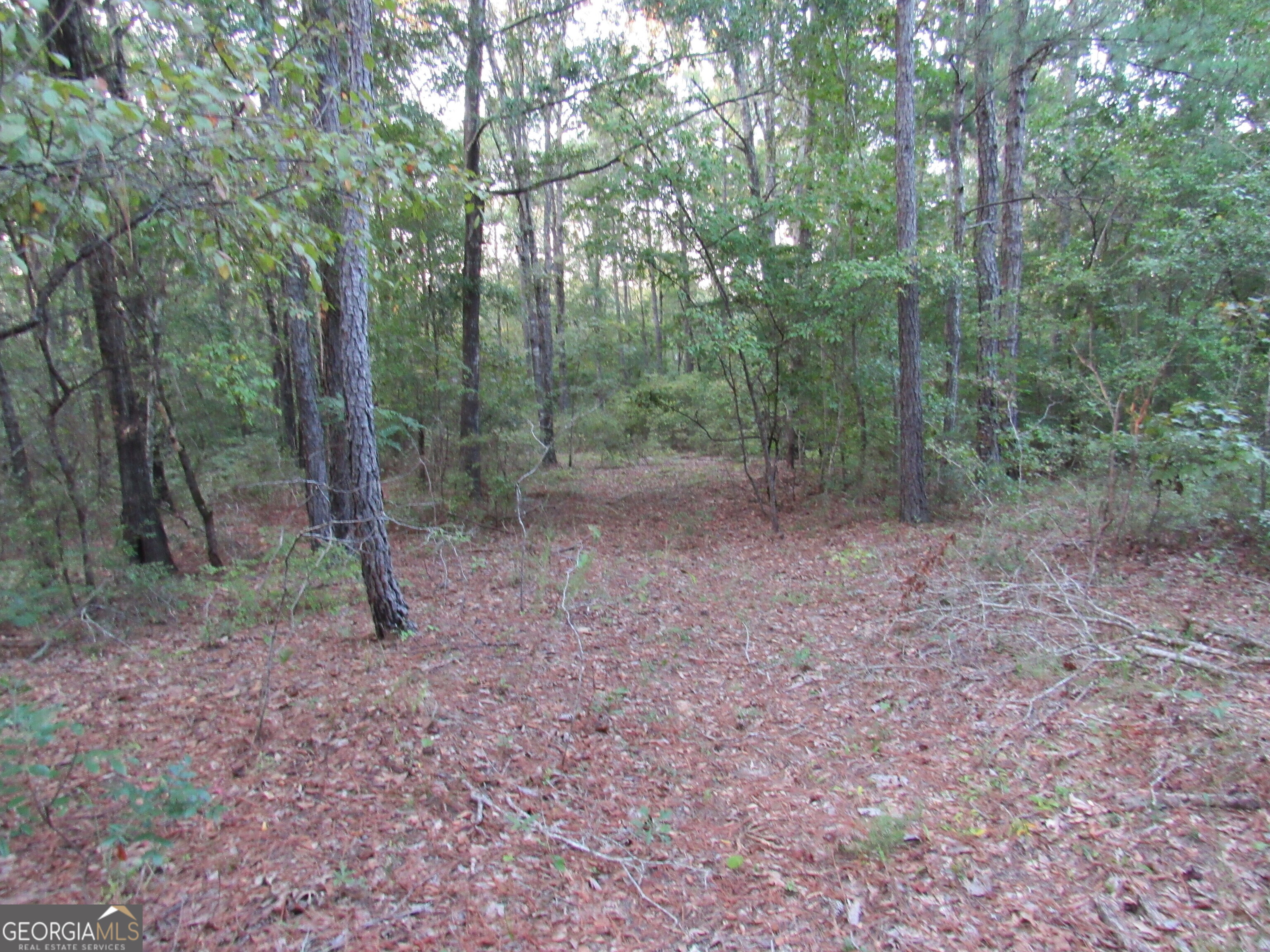 0 Gordy Mill Pond RD