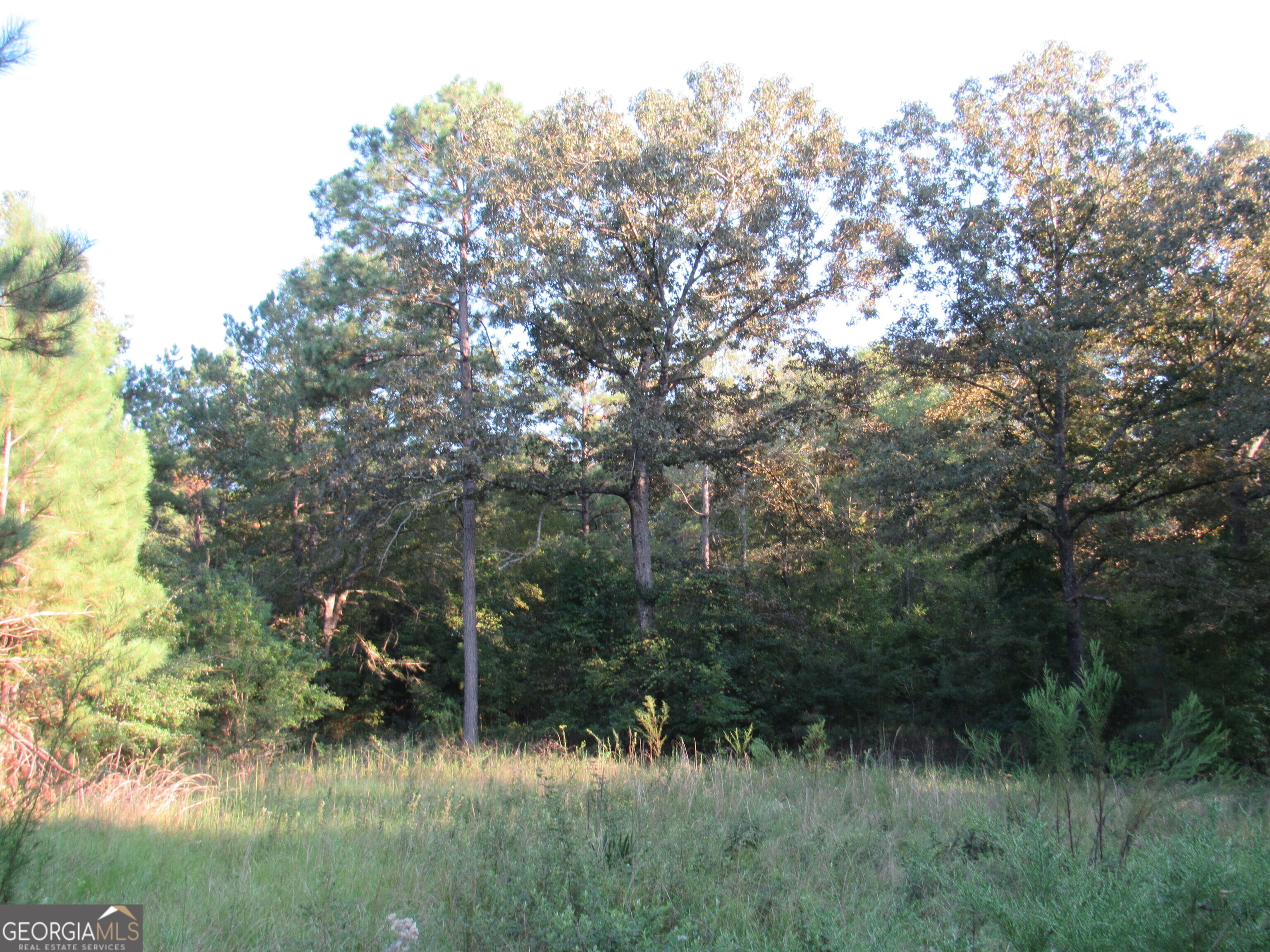 0 Gordy Mill Pond RD