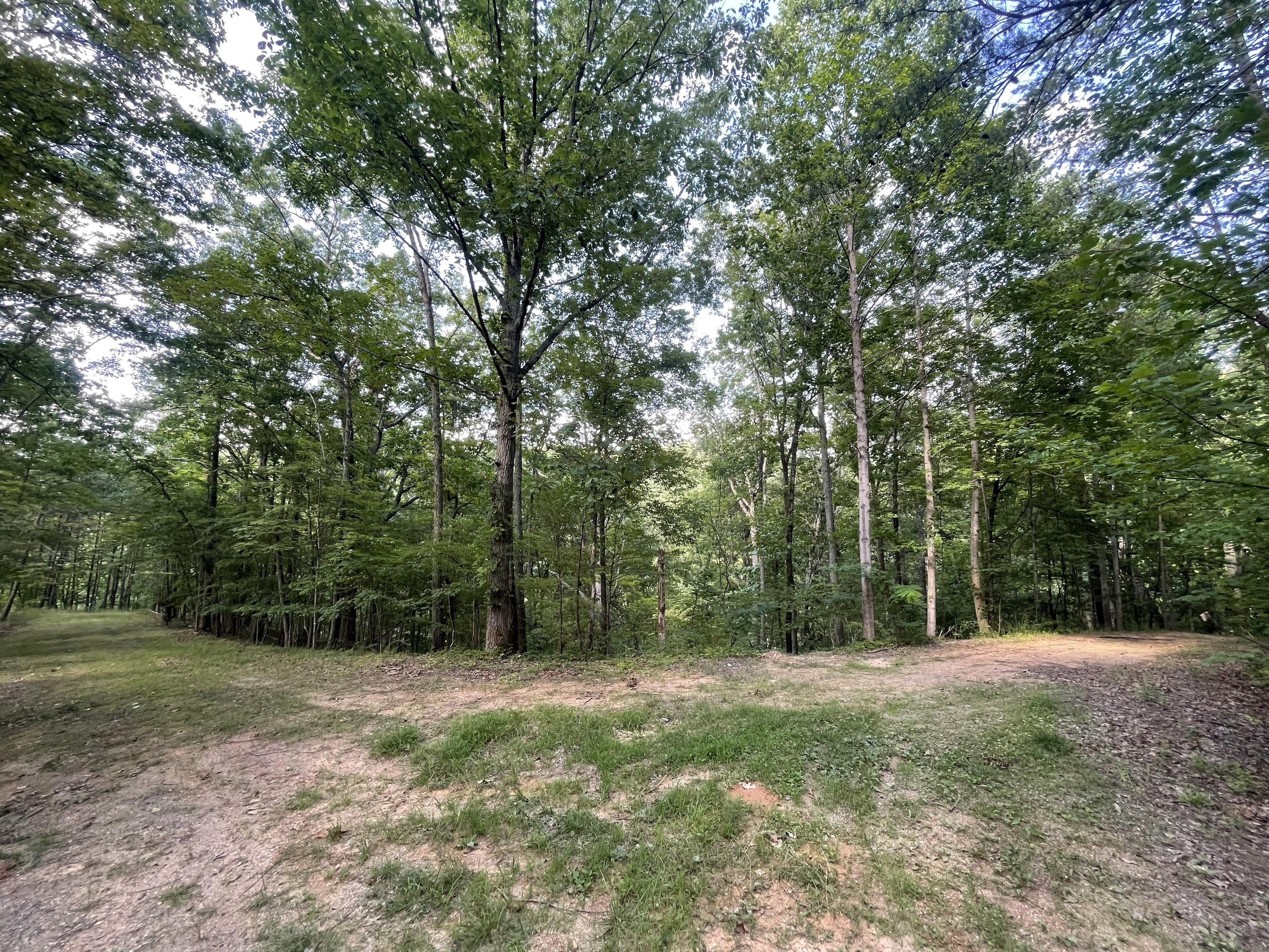 View Ranger, GA 30734 land