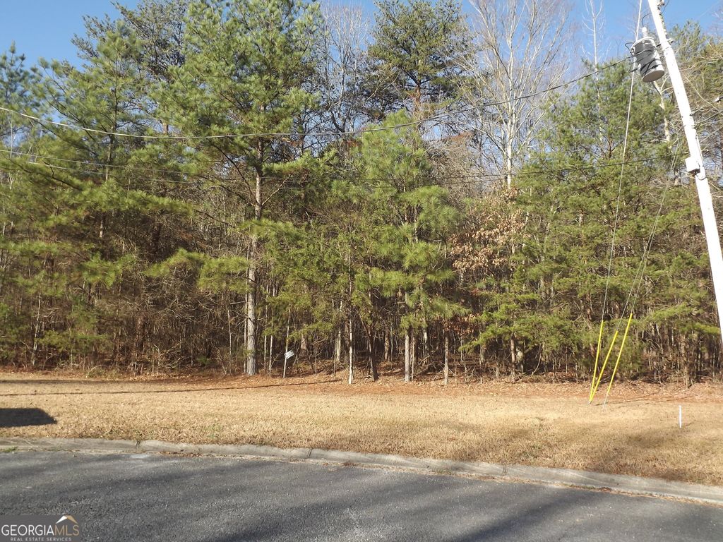 Photo of 3 Skyview Street, Cedartown, GA 30125 (MLS # 10663759)
