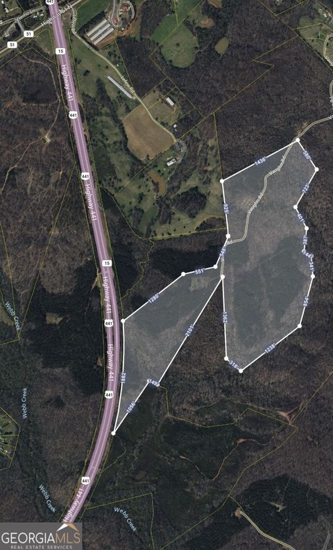 0 Highway 441 Homer GA 30547