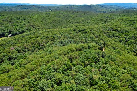 111 +/- Acres off Slate Mine RD Fairmount GA 30139