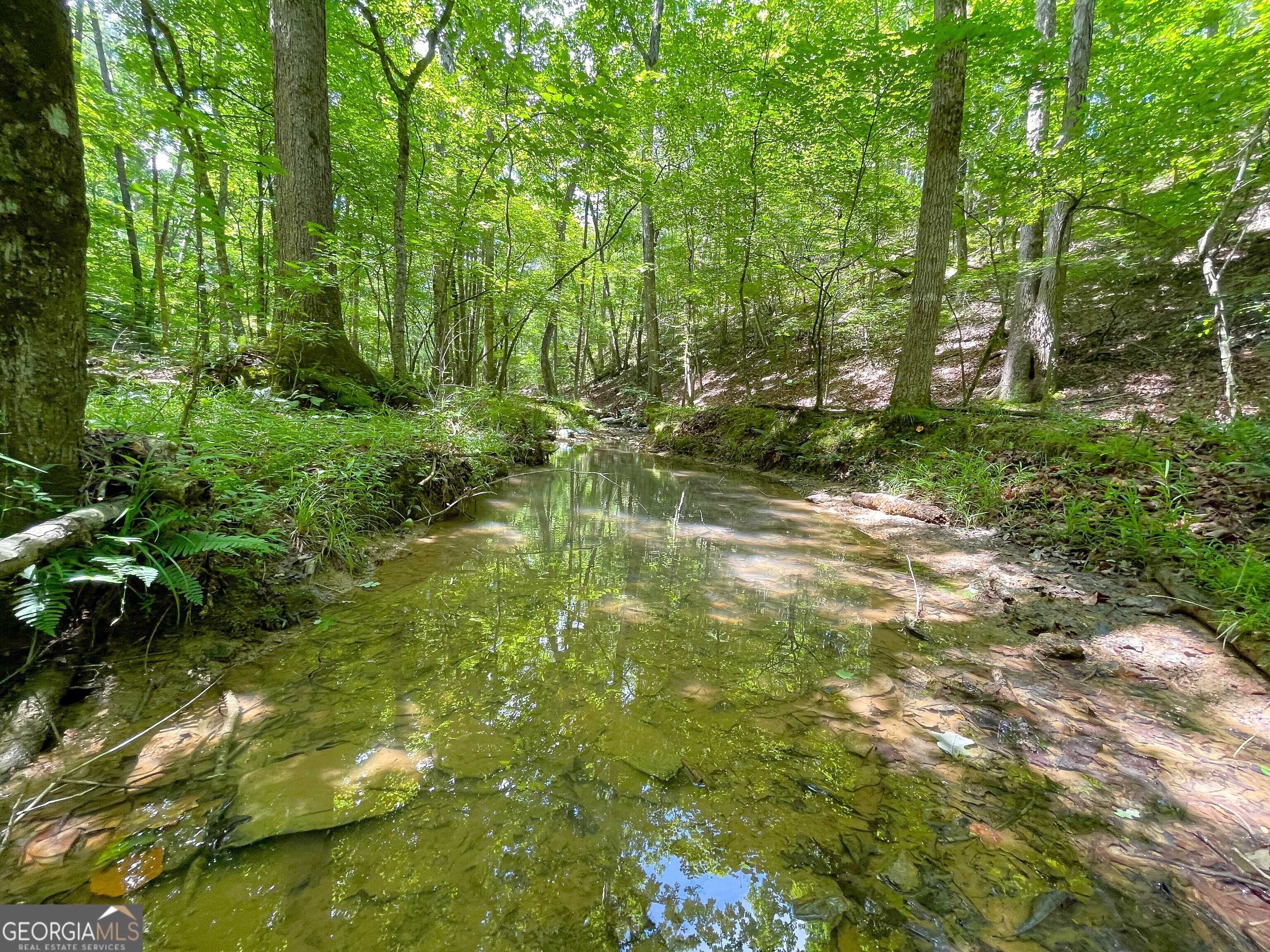 111 +/- Acres off Slate Mine RD