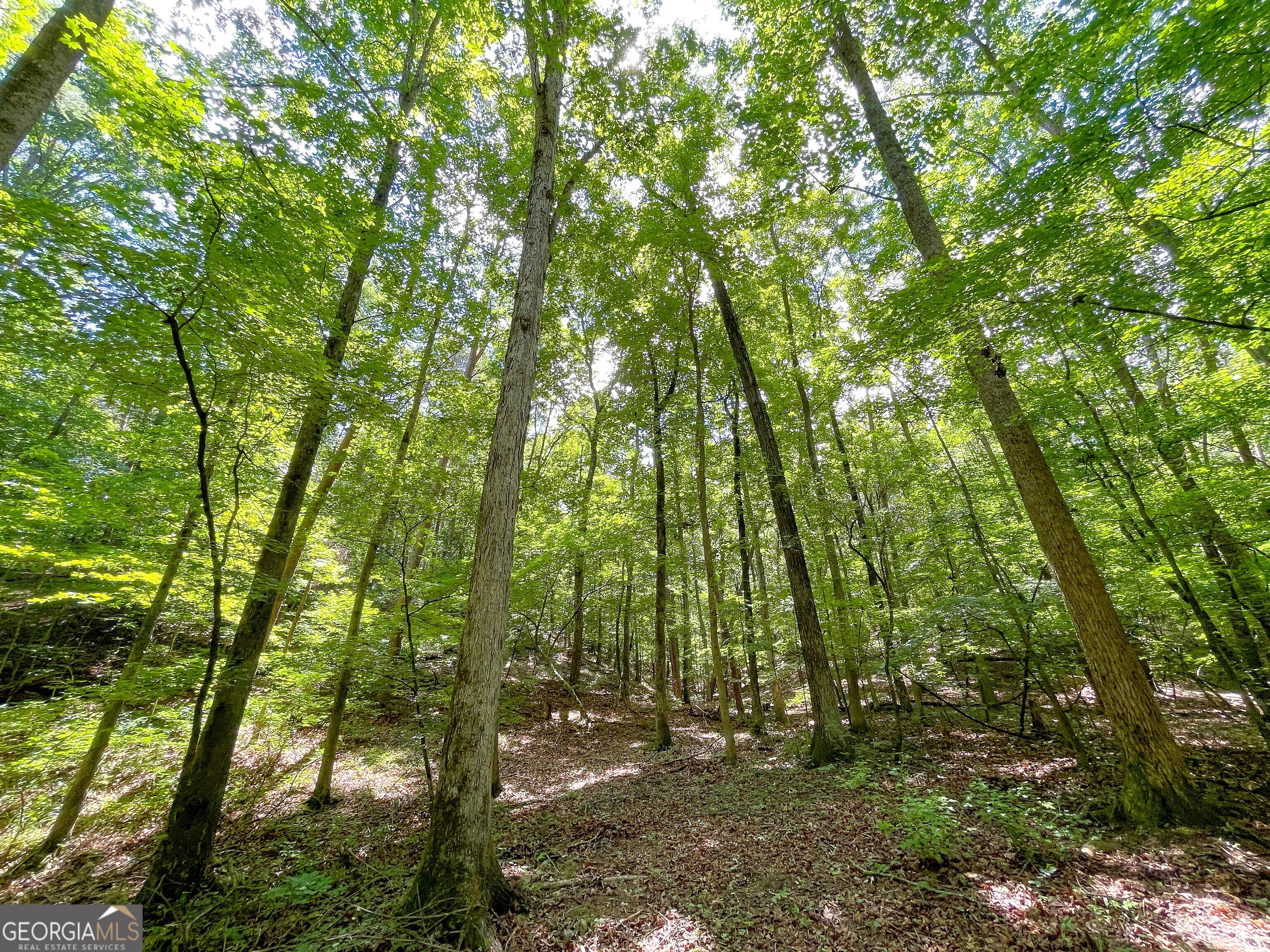 111 +/- Acres off Slate Mine RD