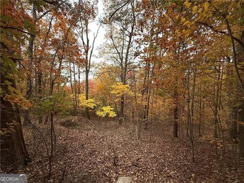 Photo of 1344 Hunter Drive, Ranger, GA 30734 (MLS # 10641348)