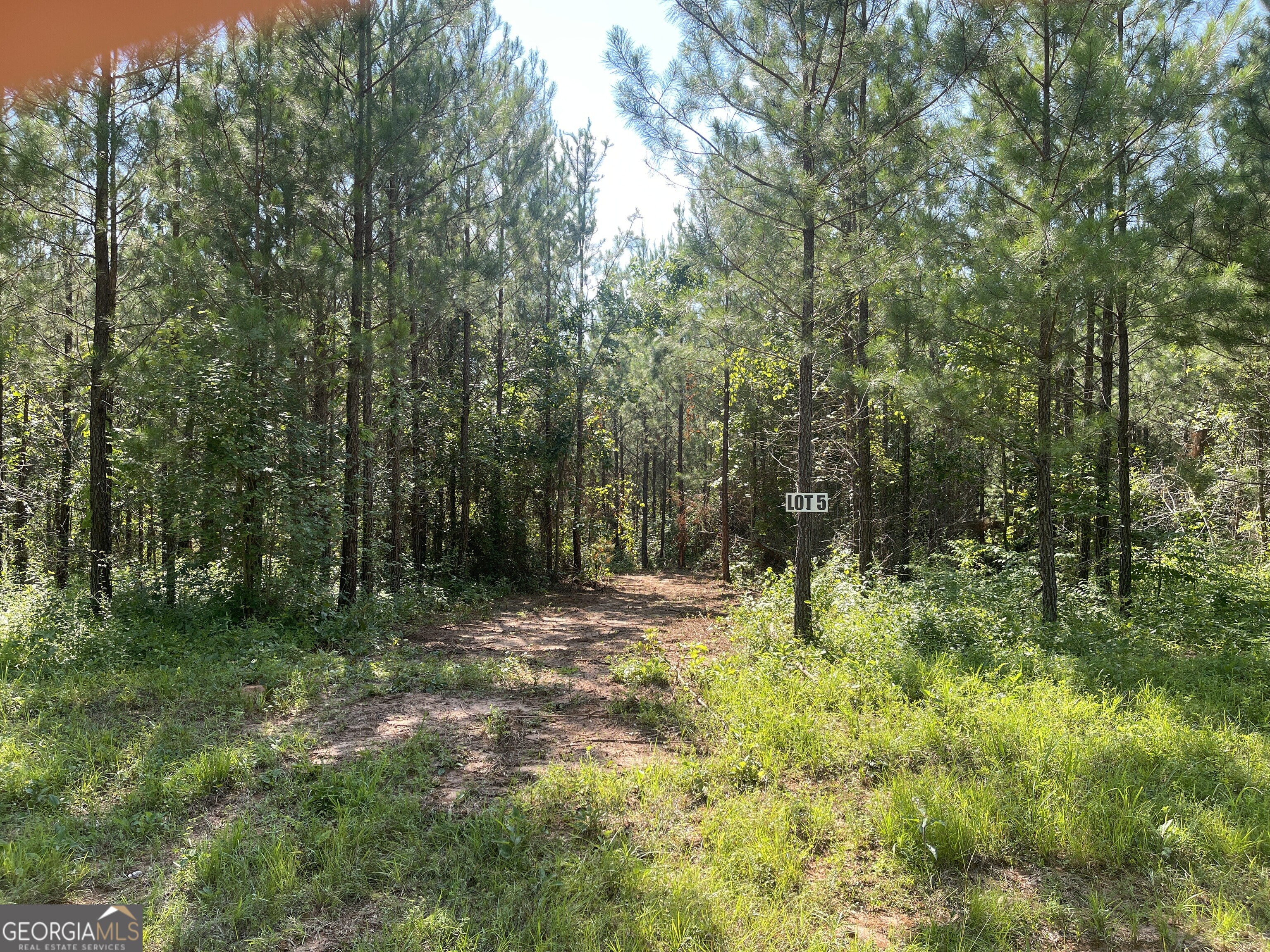 5 Acre lot available. Uplands are planted with pines with well drained soils suitable for septic systems. Minutes away are two boat ramps that make accessing the Chattahoochee river and West Point Lake a breeze. Directly across the road is West Point WMA with over 8,000 acres of recreational opportunities. Ten minutes to Franklin and ten minutes to Lagrange makes your runs to town convenient while still being able to enjoy the peace and quiet of the country. Heard County public schools.