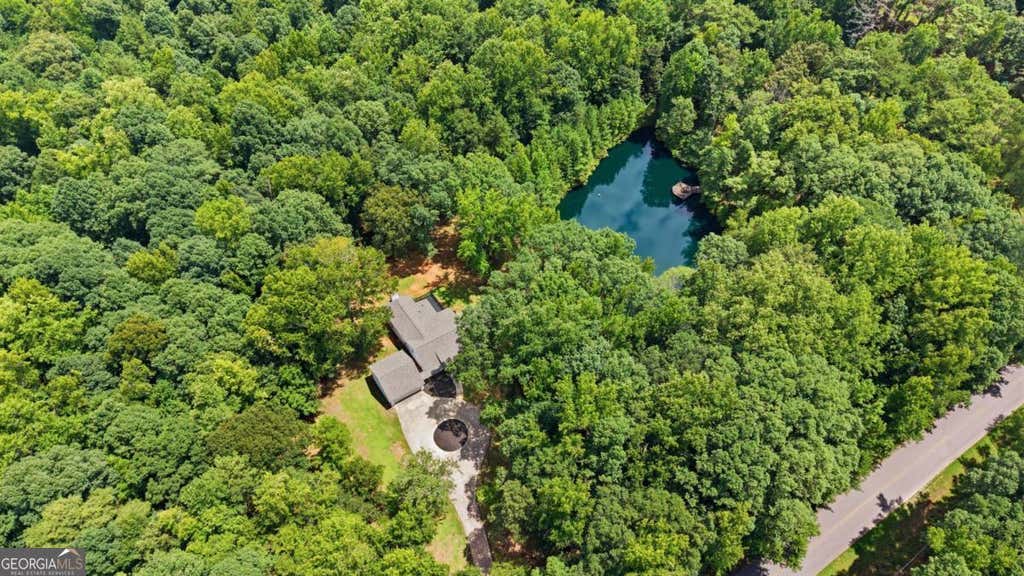 Photo of 3736 Airline Road, Mcdonough, GA 30252 (MLS # 10822400)