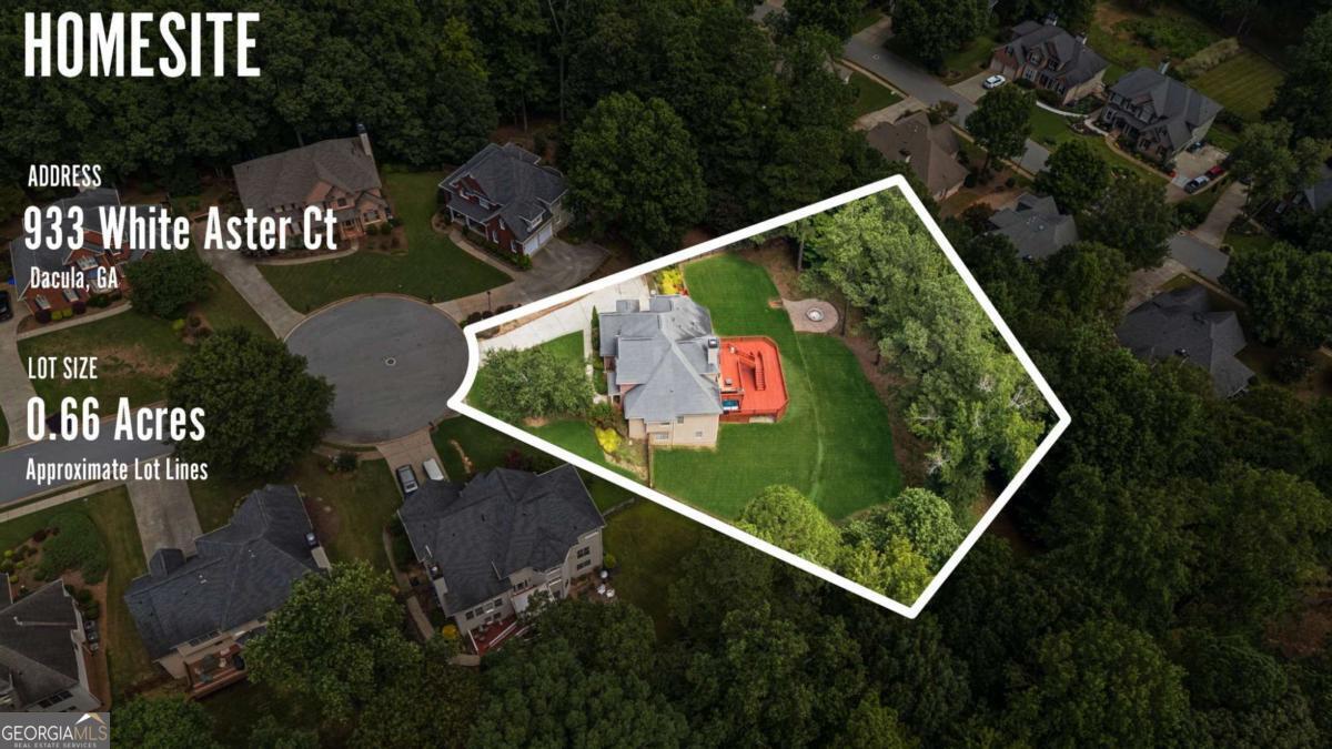 933 White Aster CT