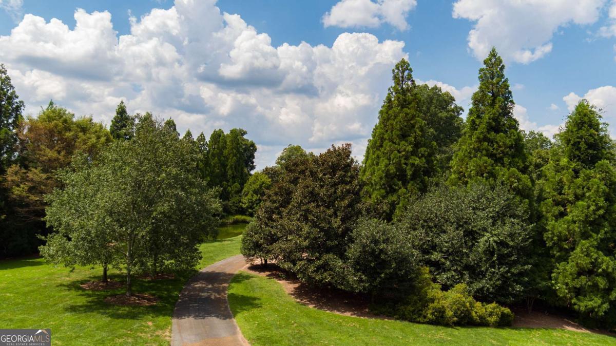 Buckhead - Land