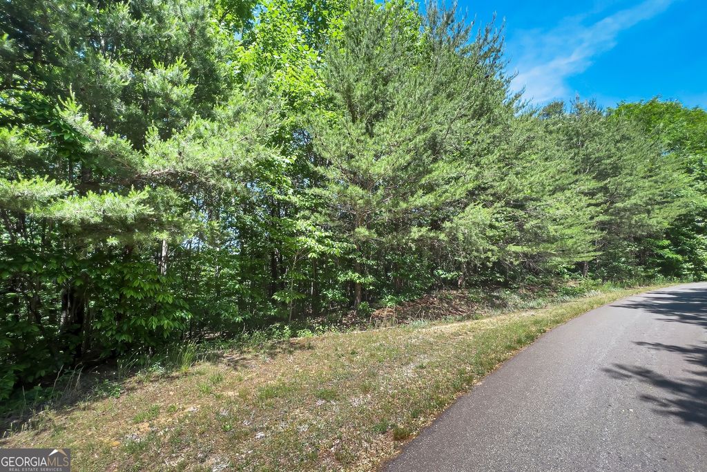 Photo of 136 St Andrews Way, Ellijay, GA 30536 (MLS # 10772025)