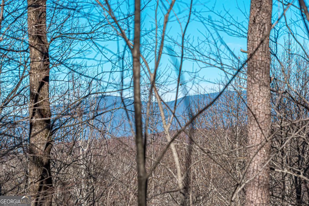Photo of 136 St Andrews Way, Ellijay, GA 30536 (MLS # 10772025)