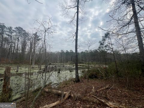 Photo of 0 Bethlehem Church Road, Grantville, GA 30220 (MLS # 10720996)