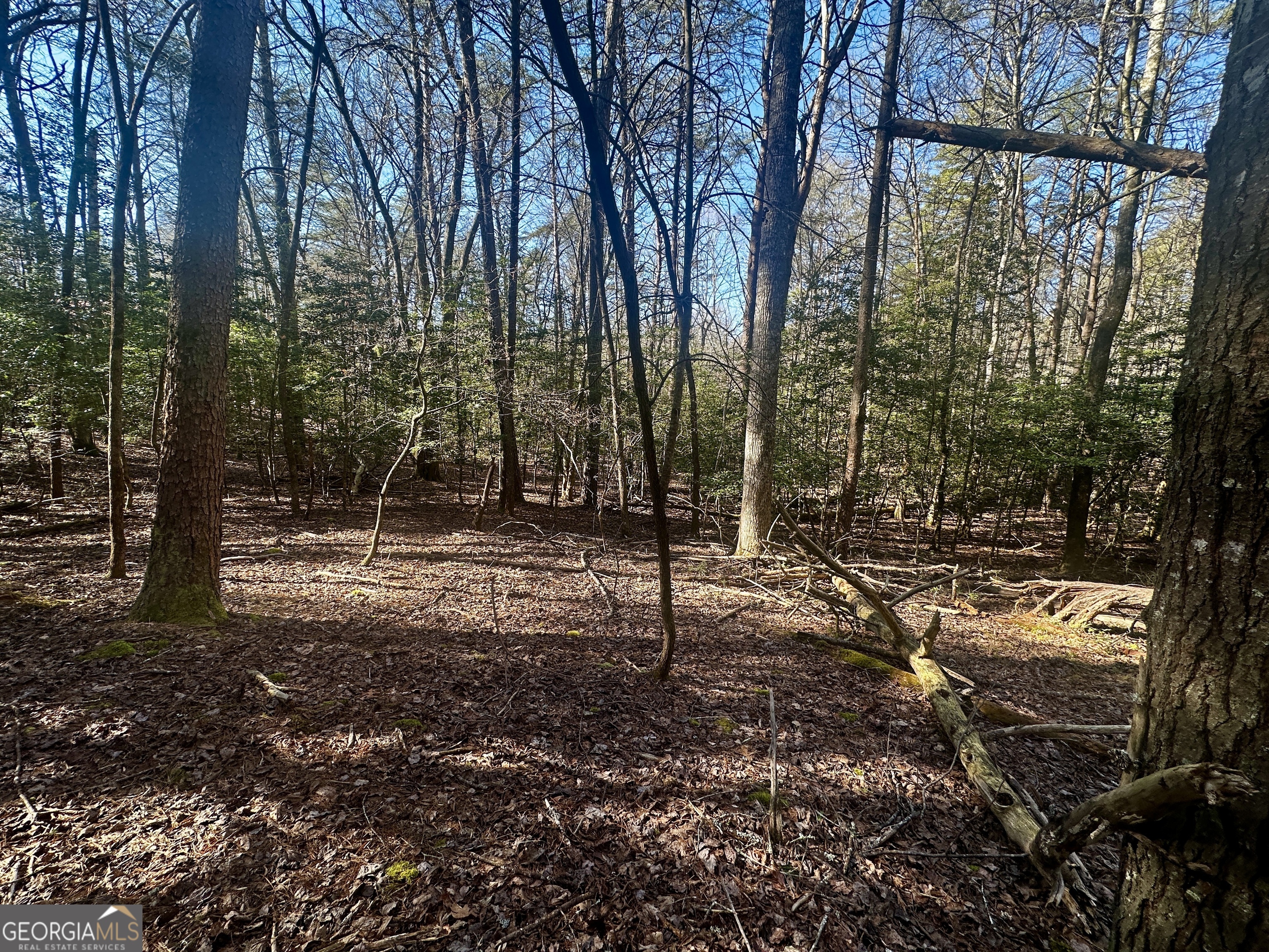 Mountain Creek - Land