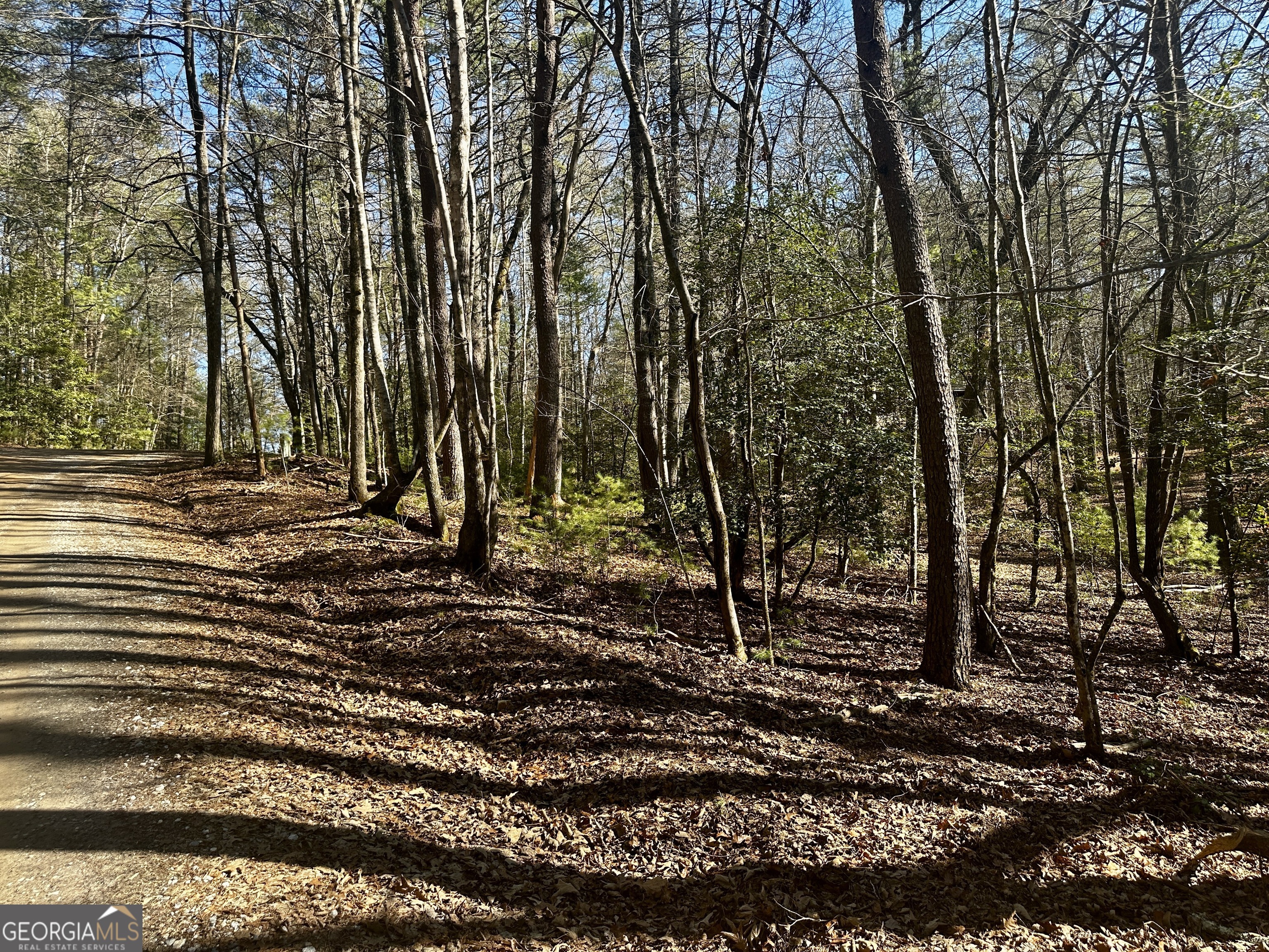 Mountain Creek - Land