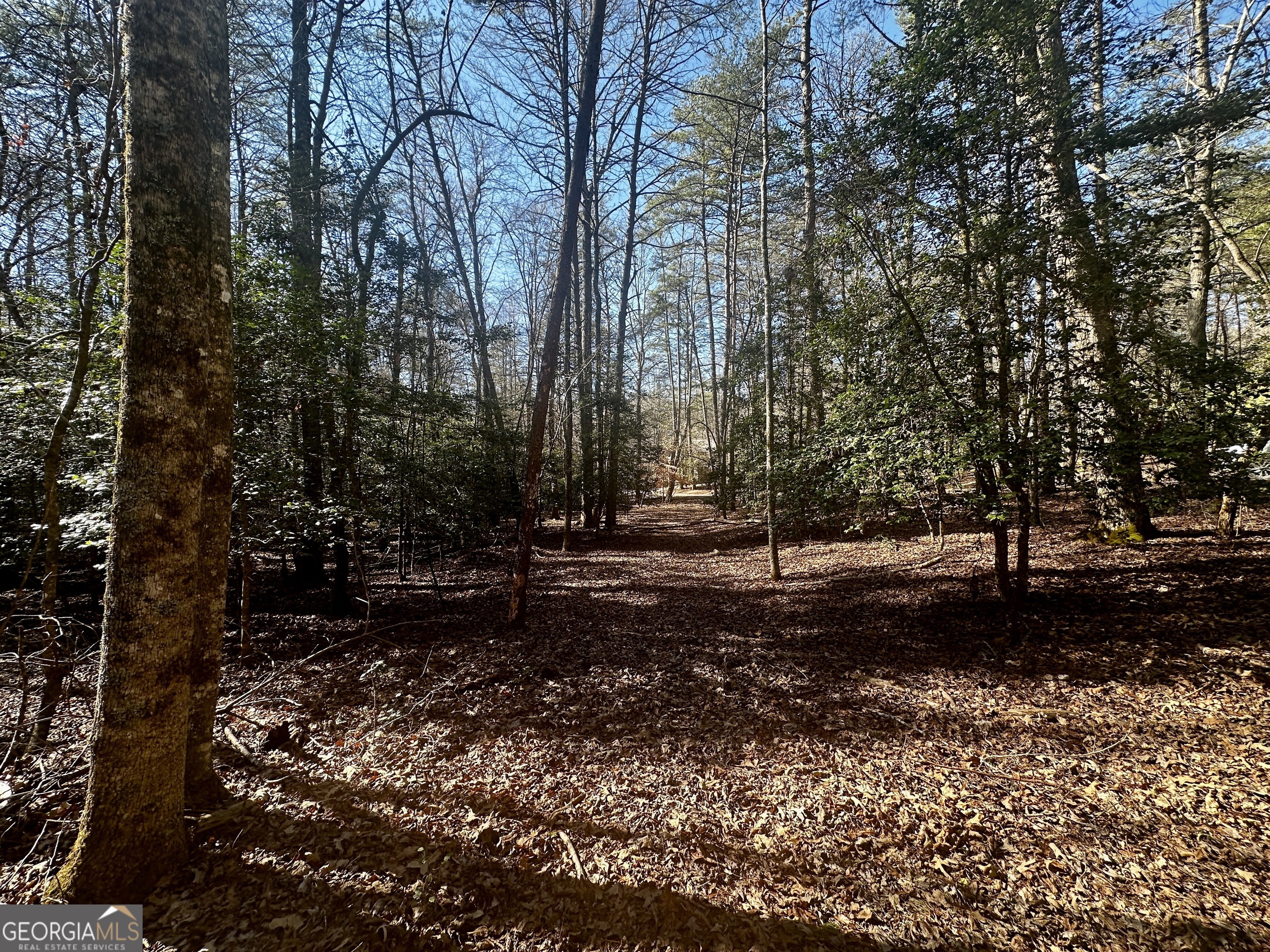 Mountain Creek - Land