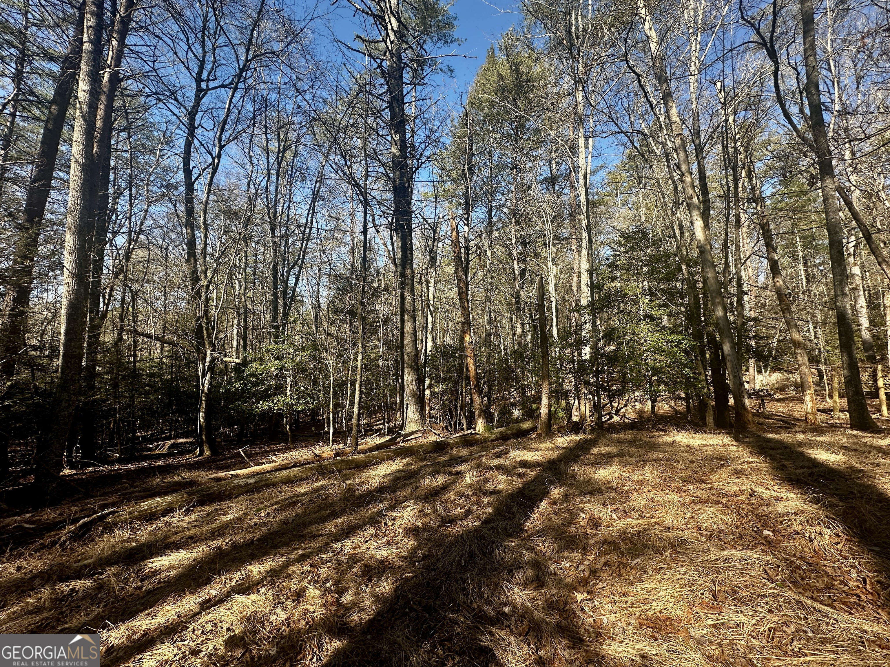 Mountain Creek - Land