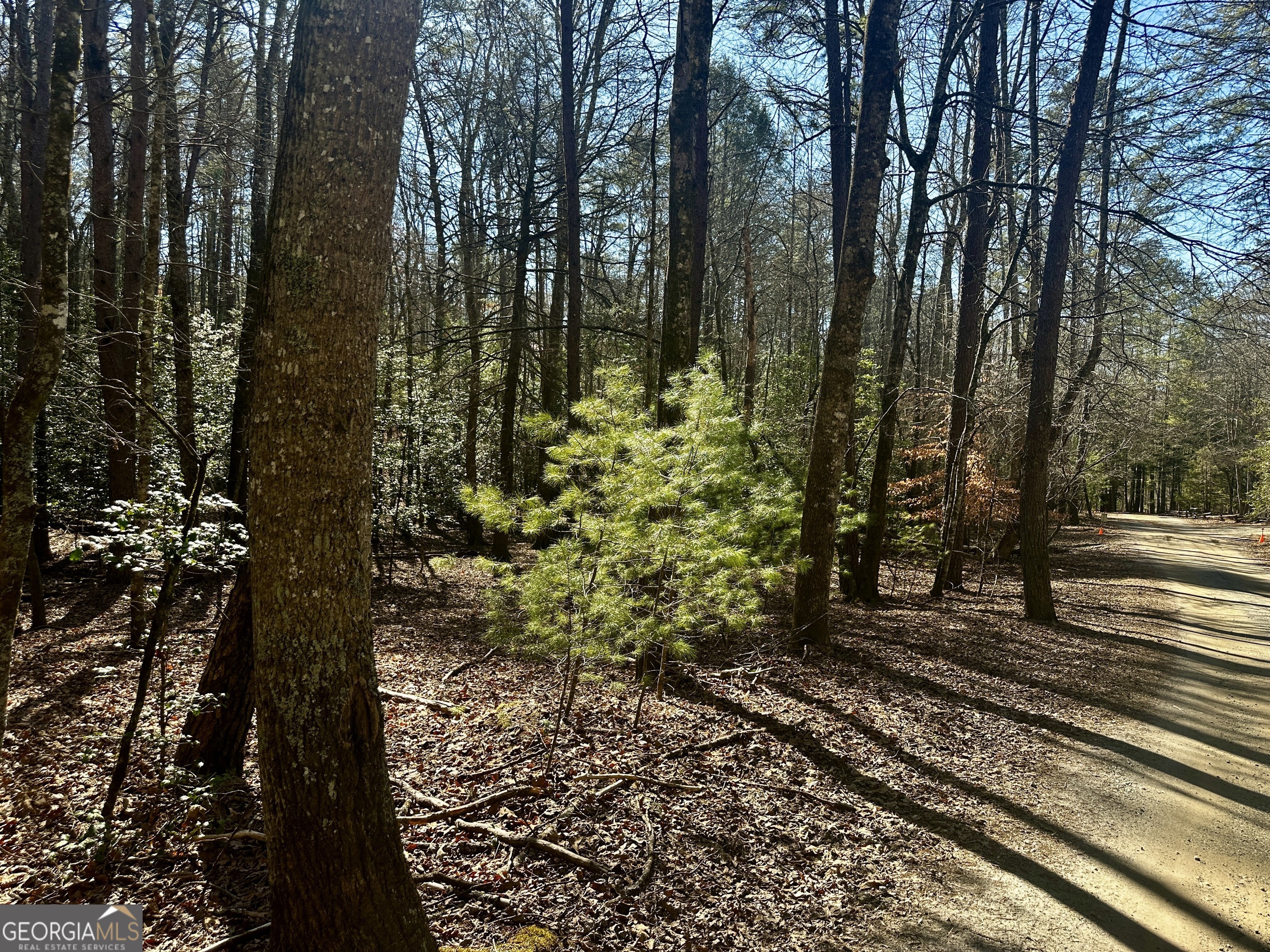 Mountain Creek - Land