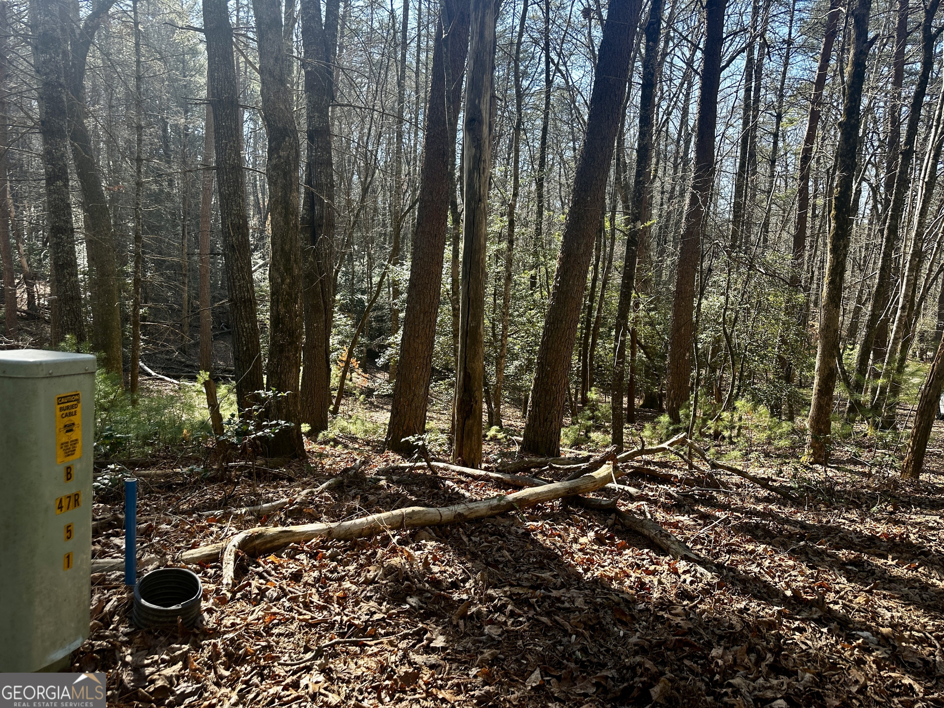 Mountain Creek - Land