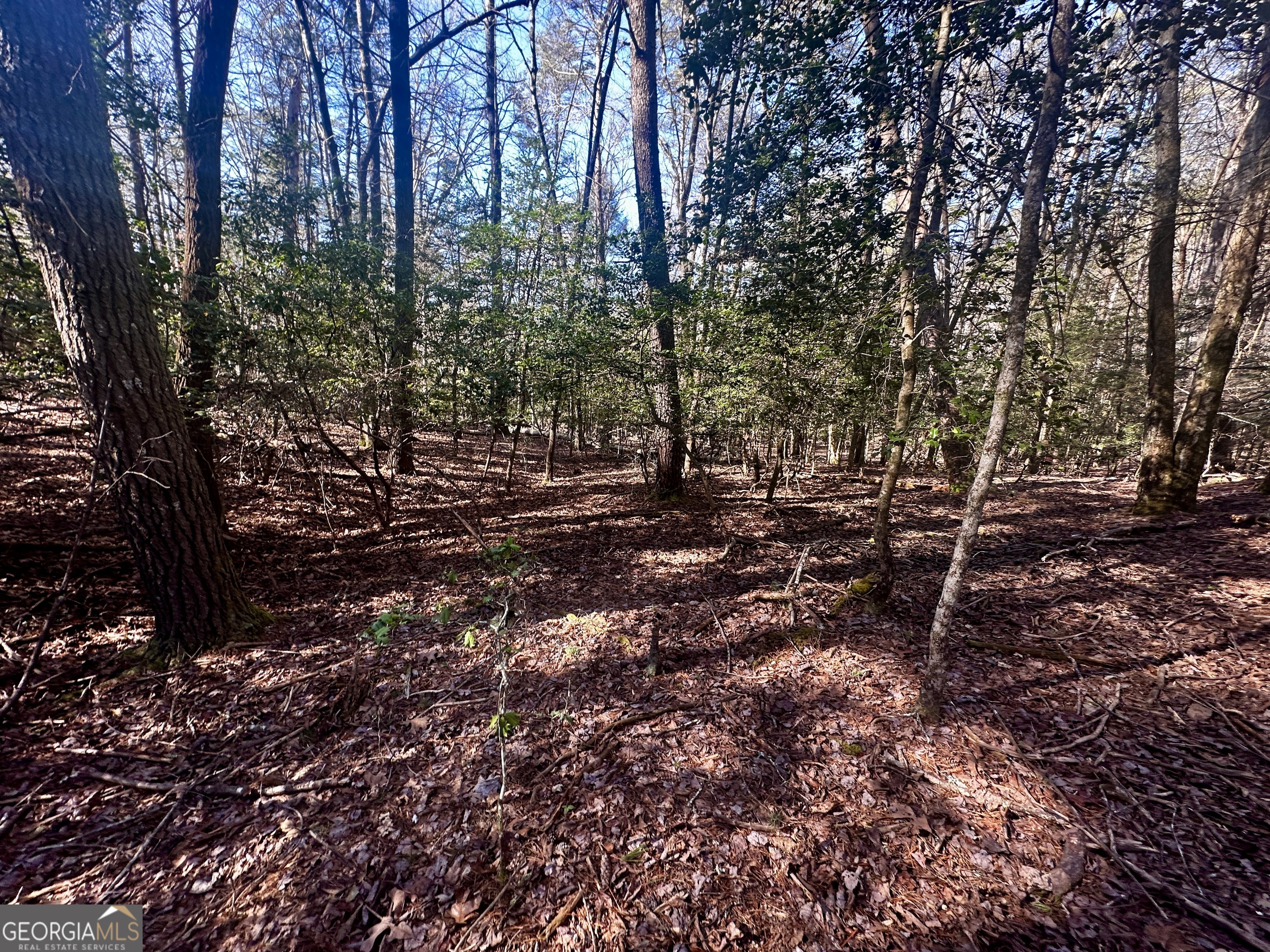 Mountain Creek - Land