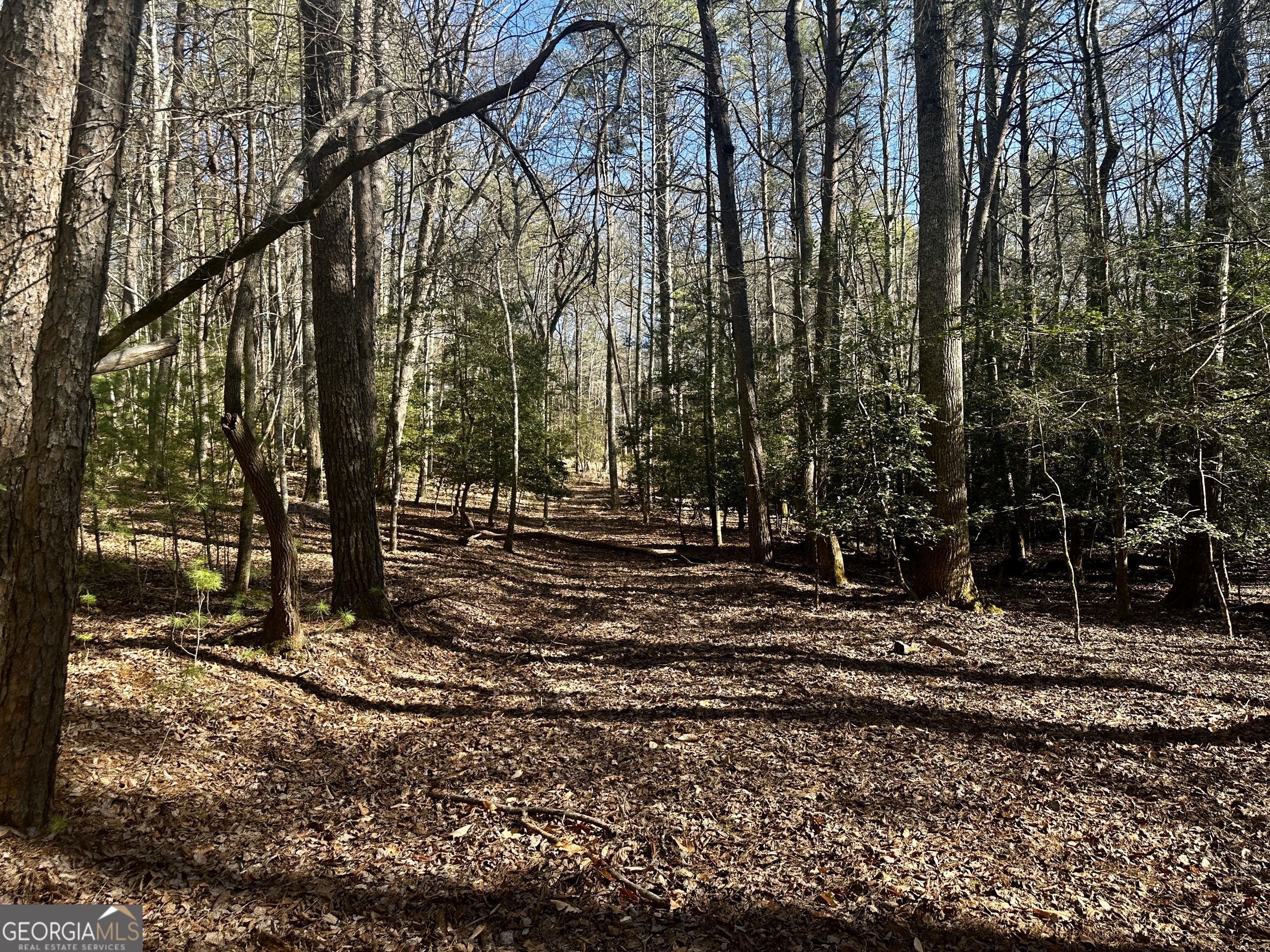 Mountain Creek - Land