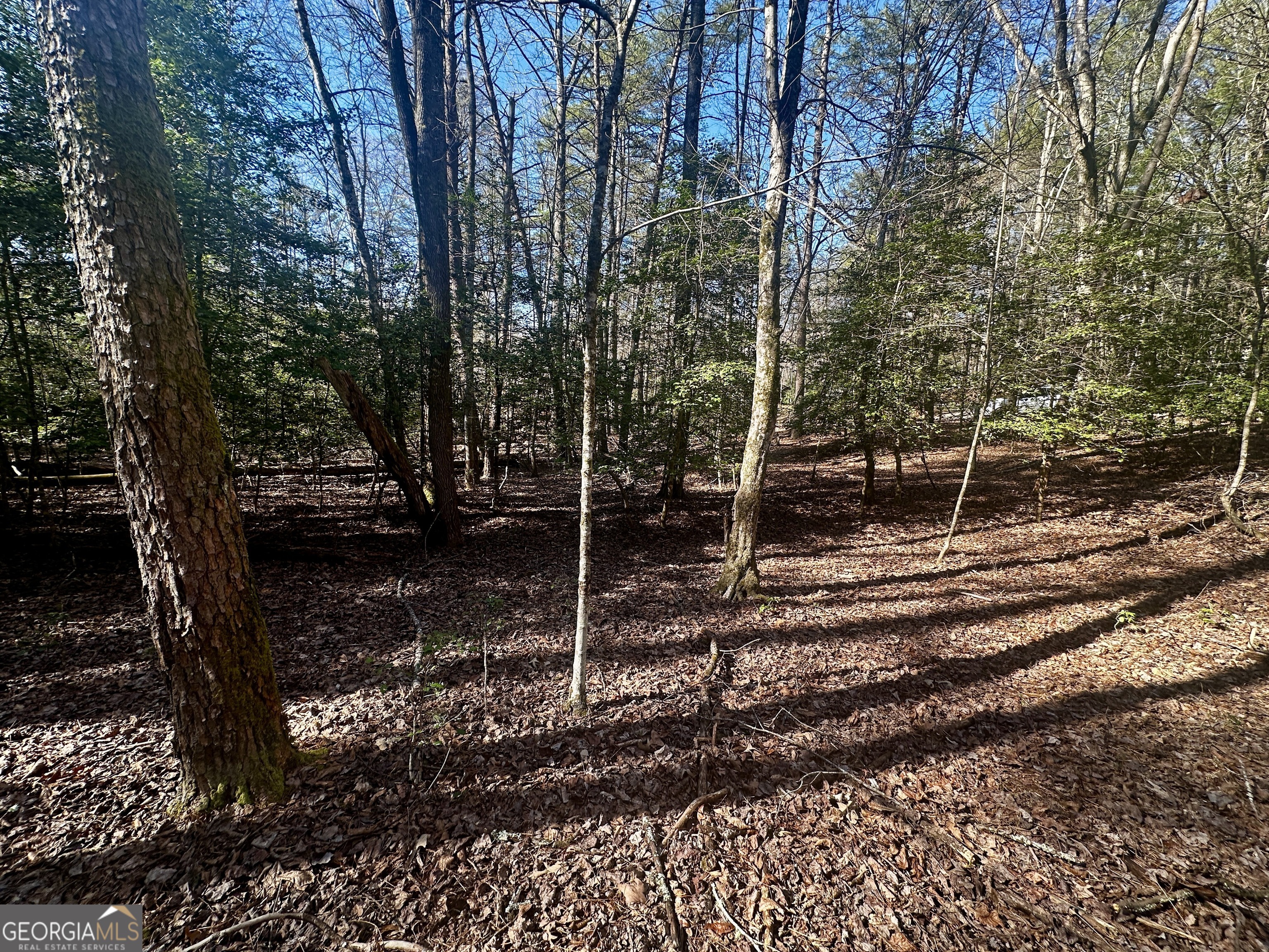 Mountain Creek - Land