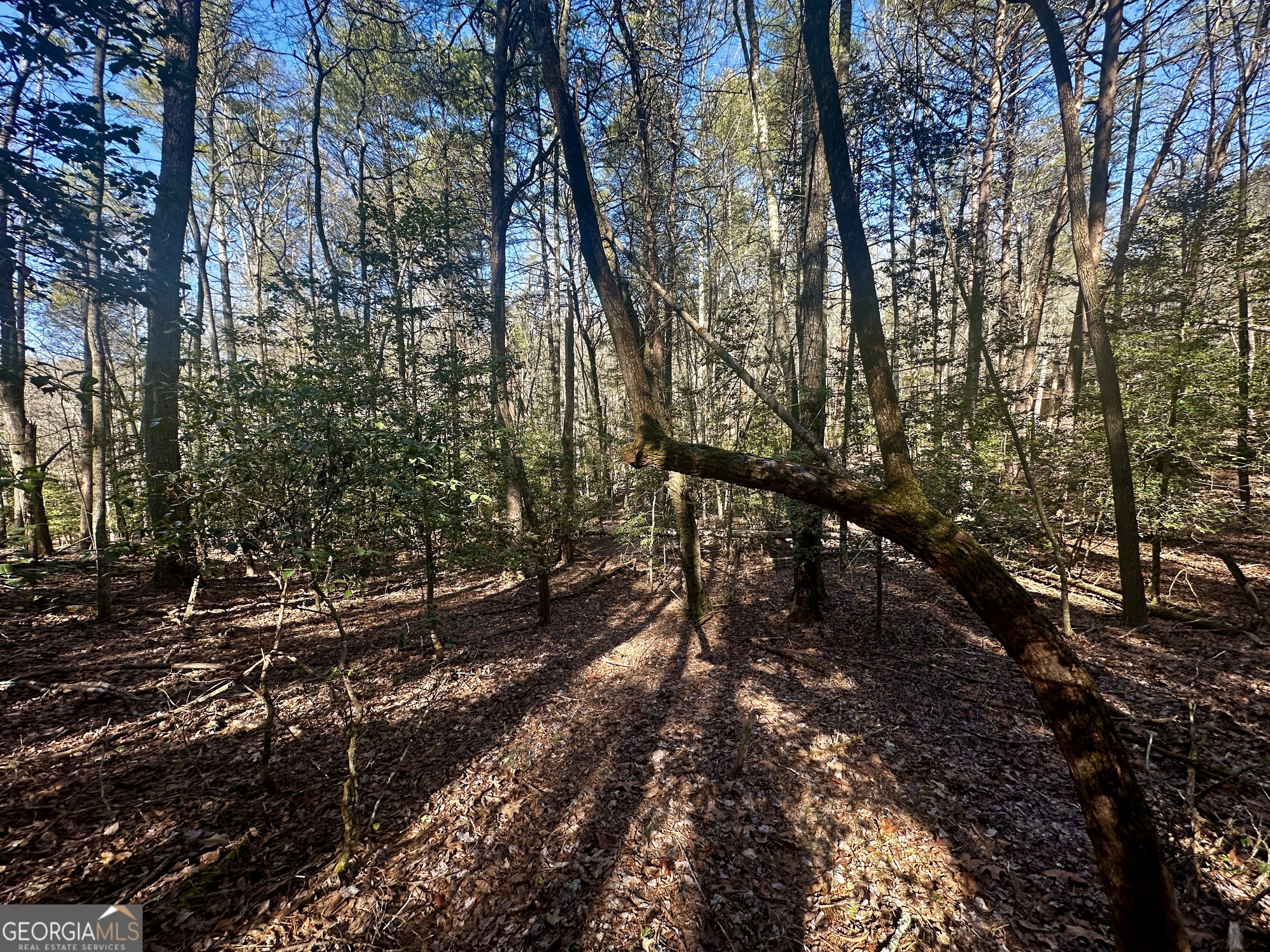 Mountain Creek - Land