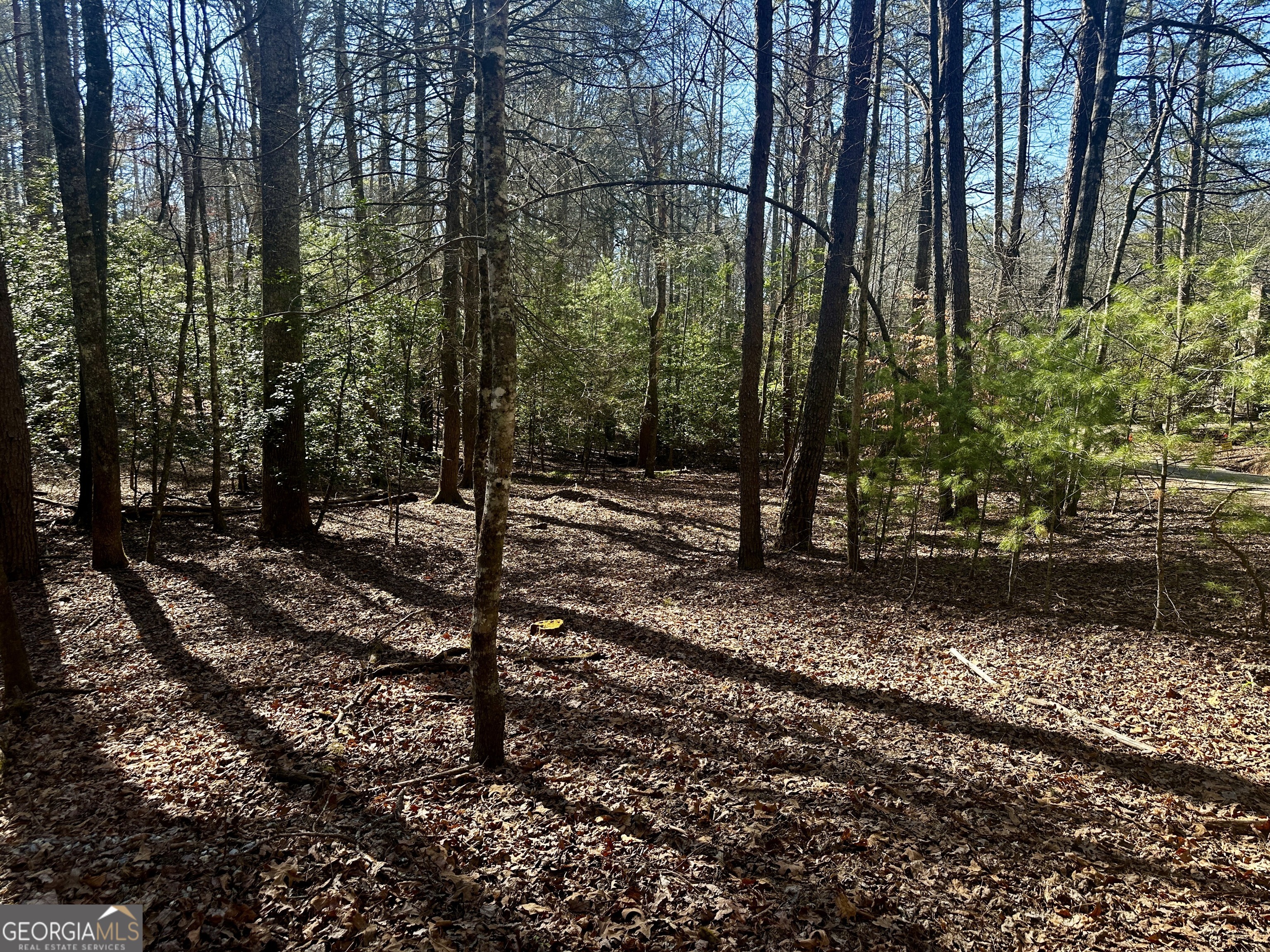 Mountain Creek - Land