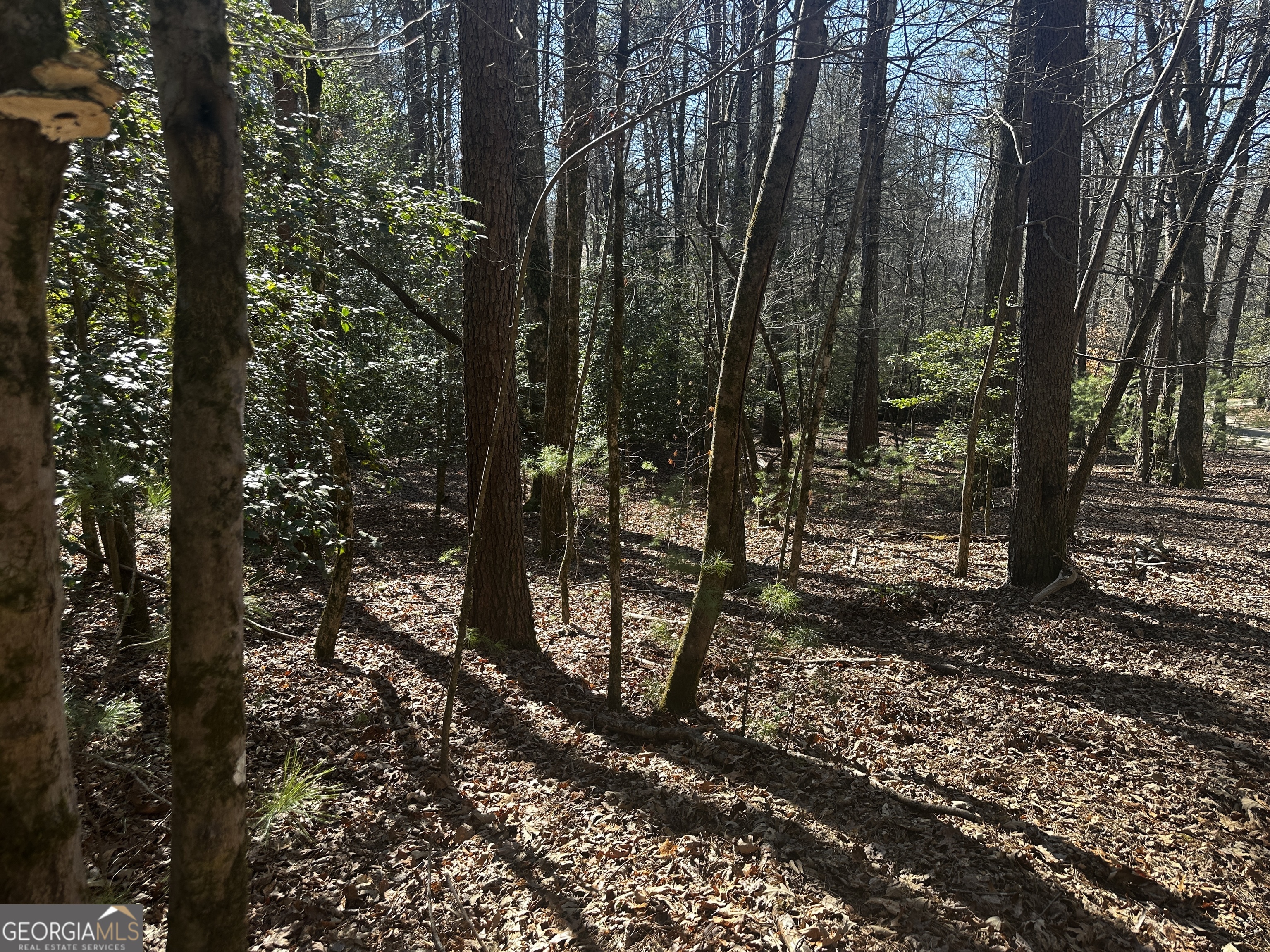 Located in the Aska Adventure Area, this build-ready lot puts you close to everything Blue Ridge offers. Access to the Toccoa River allows you to go from trout fishing, kayaking, and riverfront relaxation. Hiking trails, Lake Blue Ridge, and downtown Blue Ridge's shops, restaurants, and wineries are all within easy reach. Whether planning a weekend escape or a full-time home, this property gives you a solid starting point in a prime location.