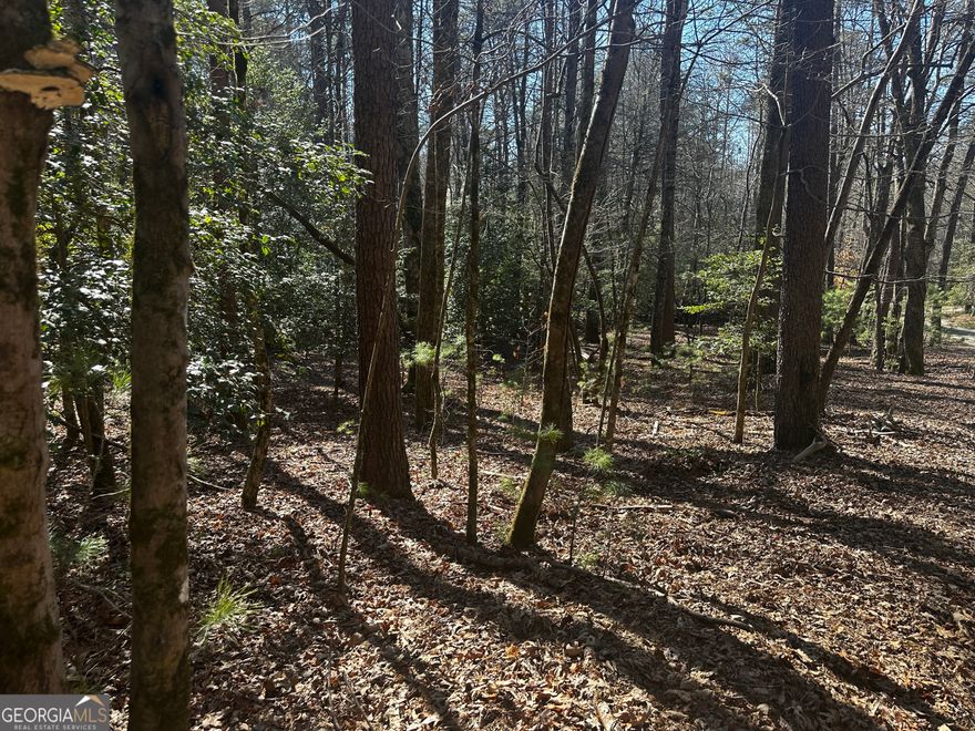 Located in the Aska Adventure Area, this build-ready lot puts you close to everything Blue Ridge offers. Access to the Toccoa River allows you to go from trout fishing, kayaking, and riverfront relaxation. Hiking trails, Lake Blue Ridge, and downtown Blue Ridge's shops, restaurants, and wineries are all within easy reach. Whether planning a weekend escape or a full-time home, this property gives you a solid starting point in a prime location.