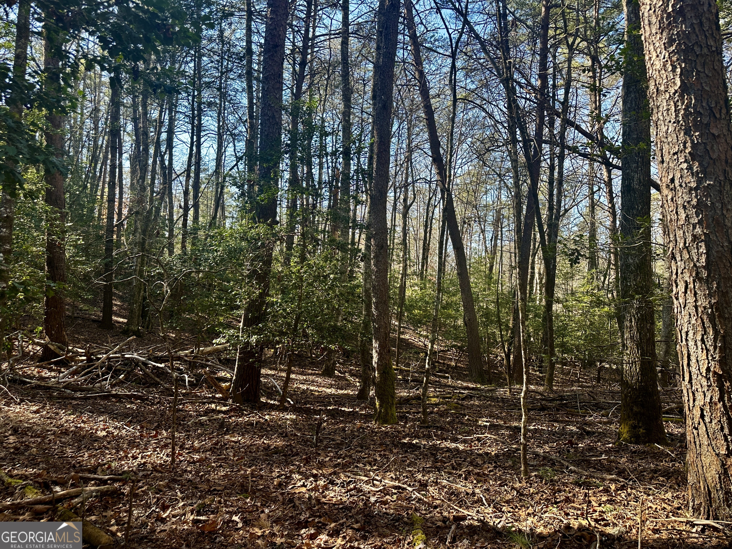 Mountain Creek - Land