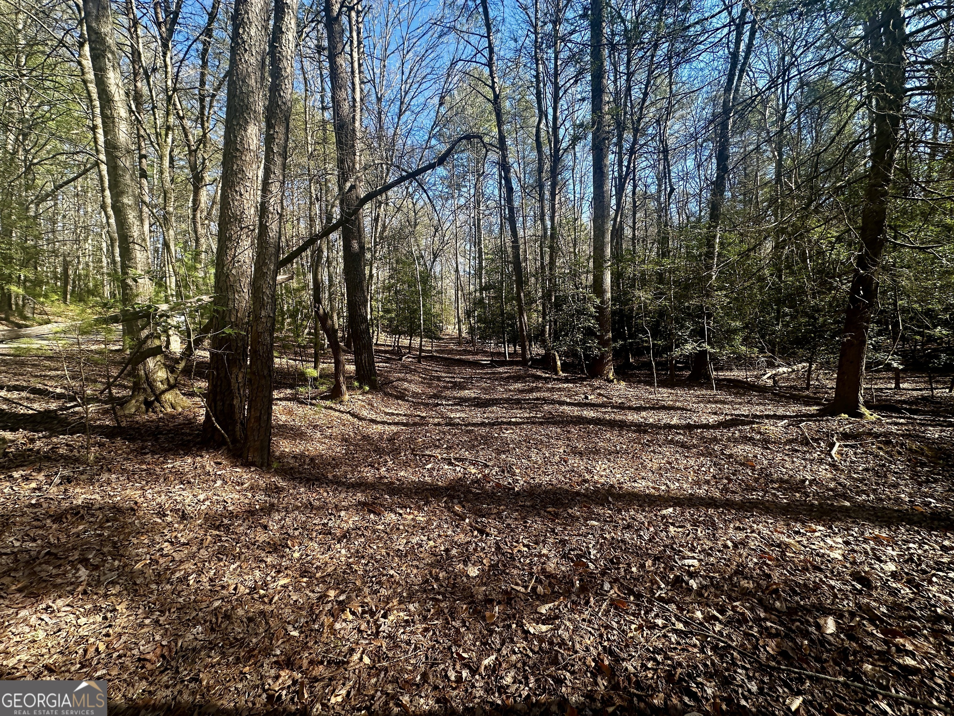 Mountain Creek - Land
