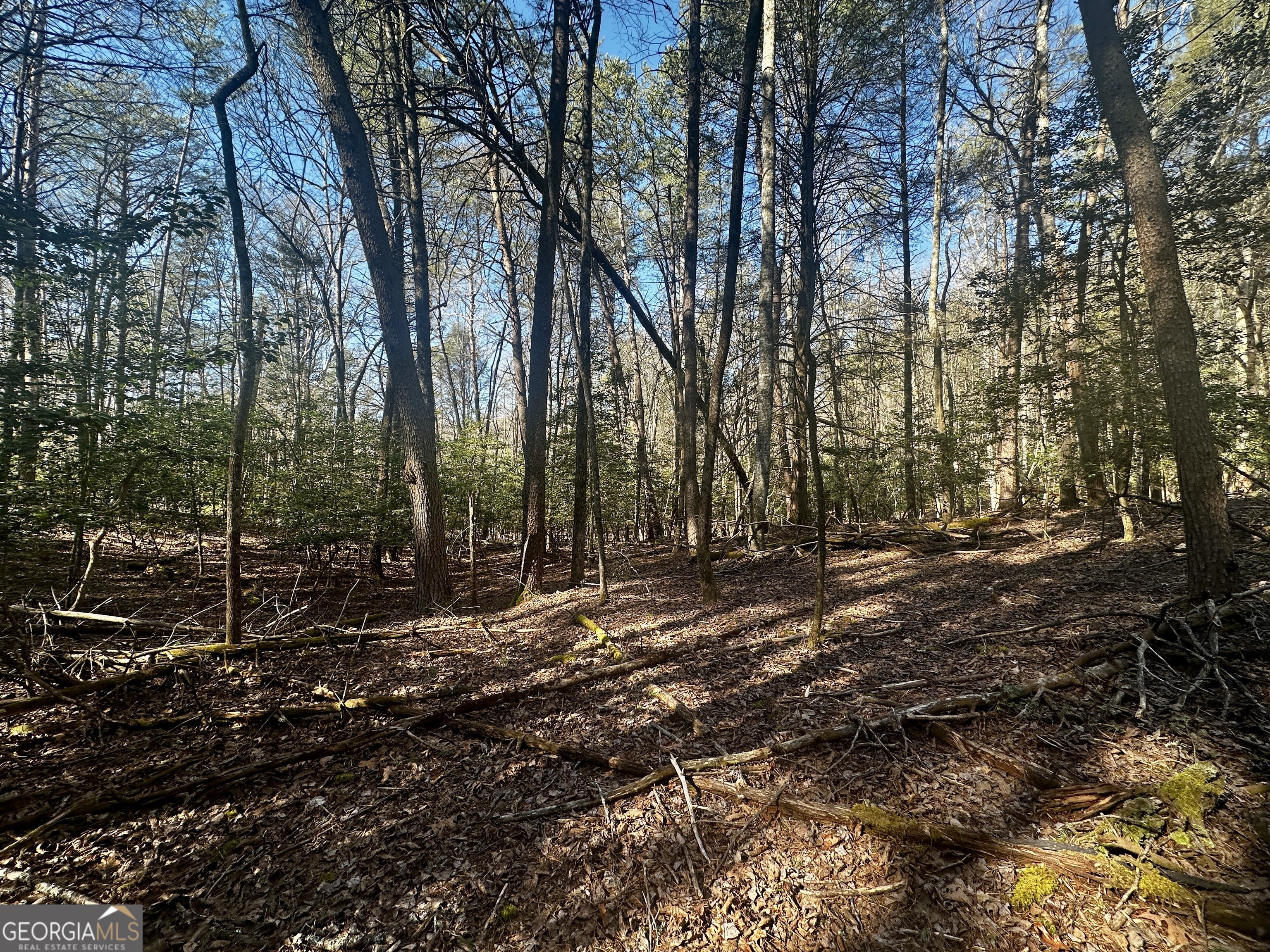 Mountain Creek - Land